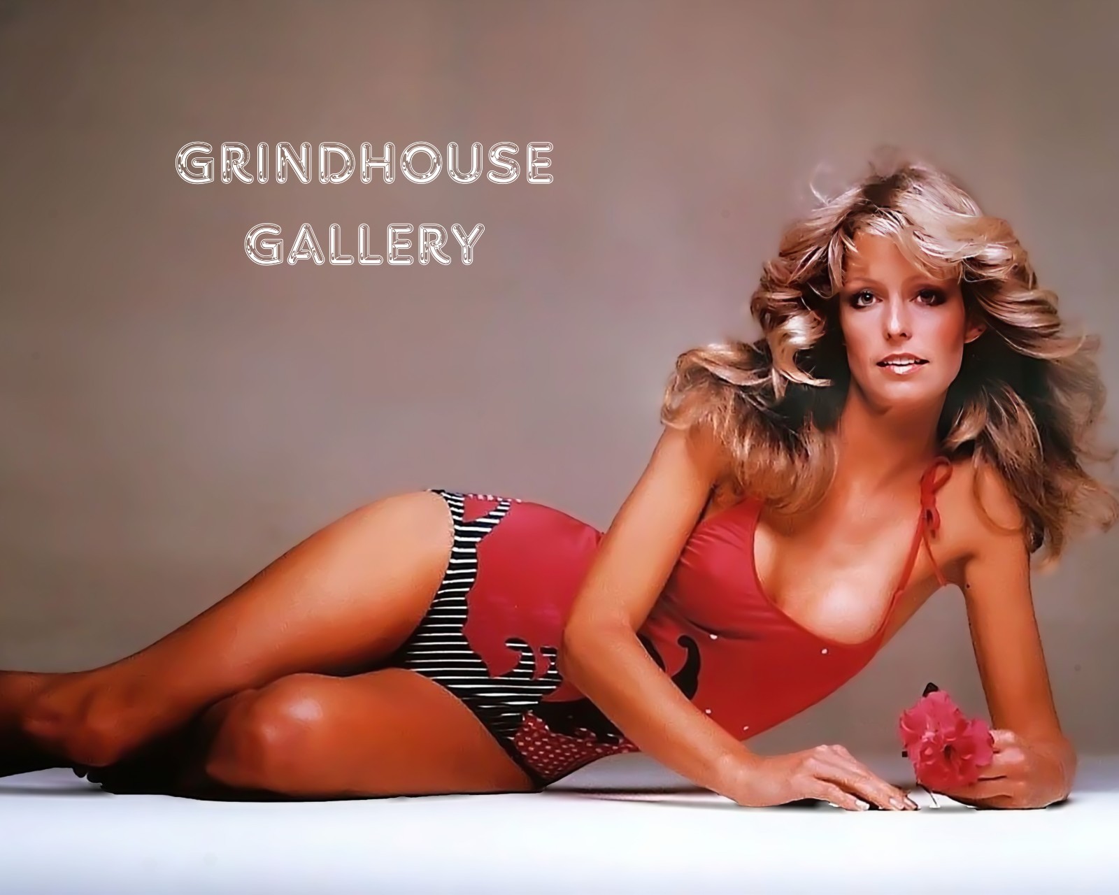 FARRAH FAWCETT Classic HOT Sexy Celebrity Actress Pin-Up Photo Print #30