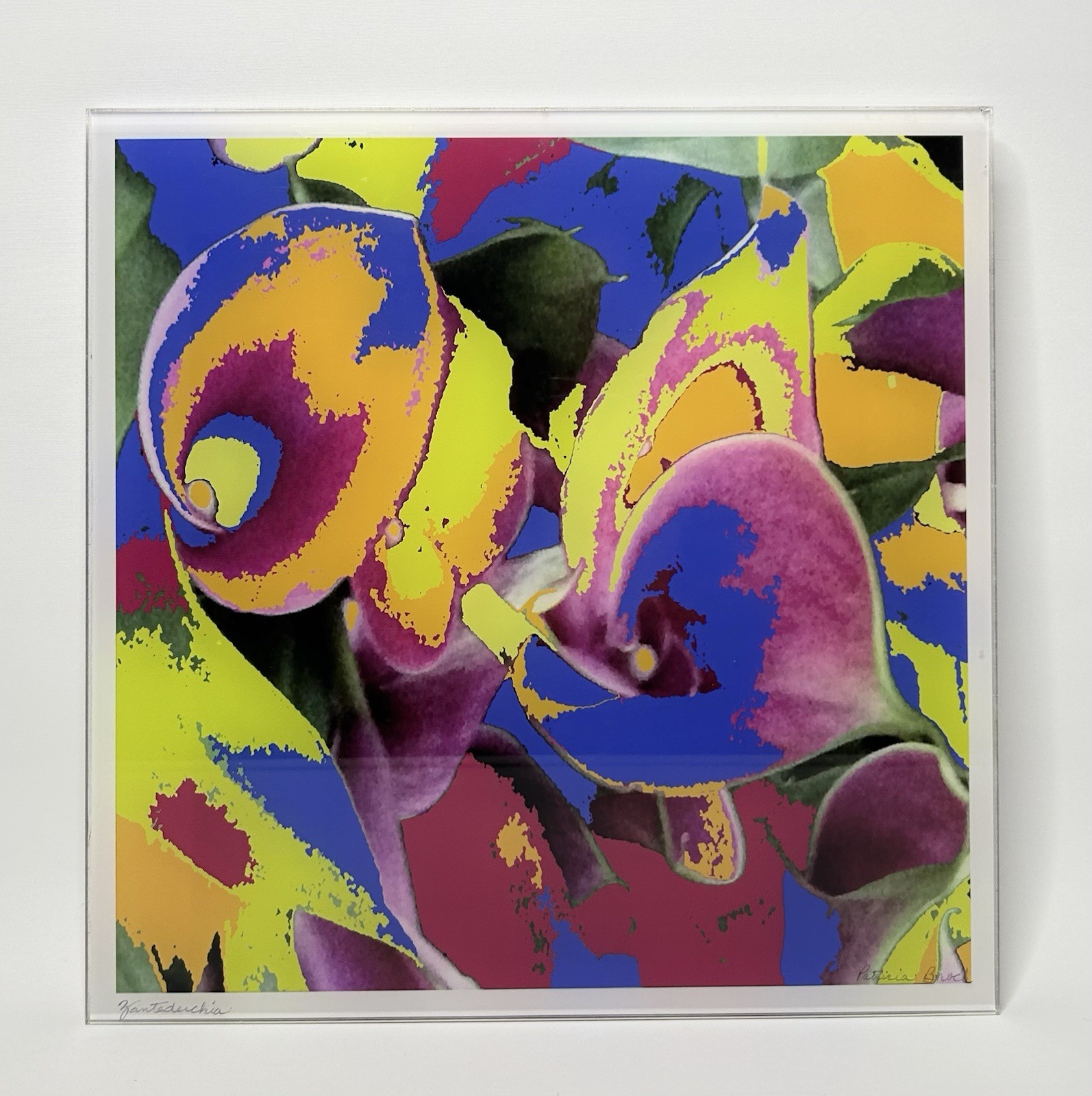 Patricia Brock Abstract Modern Art Photography Framed In Glass Calla Lily Signed