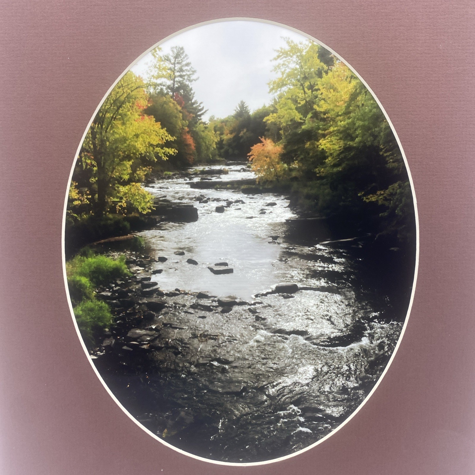 Matted River Forest Landscape Photo Print 11 X 14 Wall Art Gallery Decor