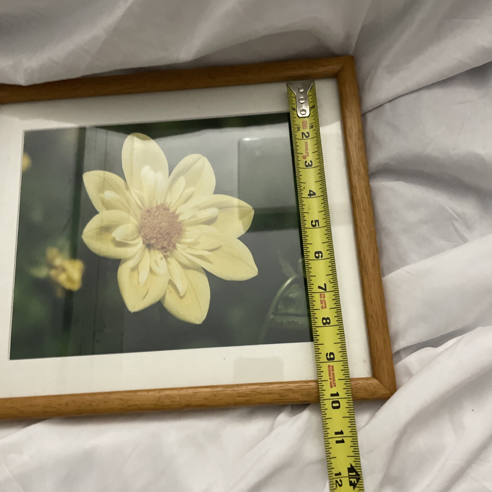 Framed & Matted Sunflower Dahlia Photo Art Vintage 1980’s Signed Caryl Heral
