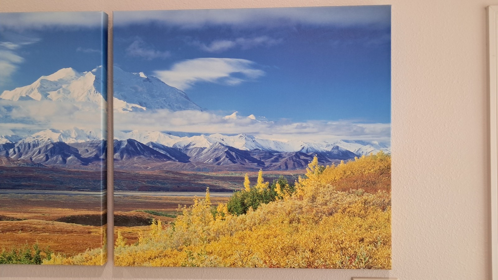 HUGE! 3x 30″x28″ Triptych print on canvas – Denali National Park.