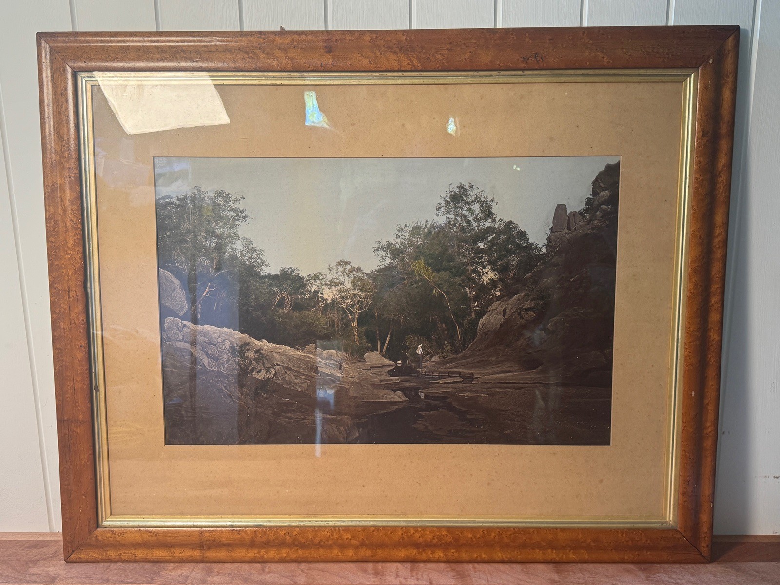 c.1900 Hand-Tinted Albumen Photograph Indigenous Landscape in Burr-Walnut Frame