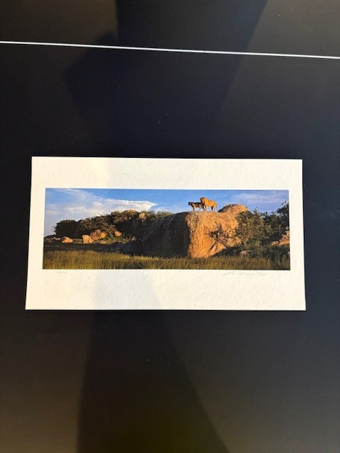 THE NATURAL WORLD ( Signed Limited Edition ) by Thomas D. Mangelsen #183/500