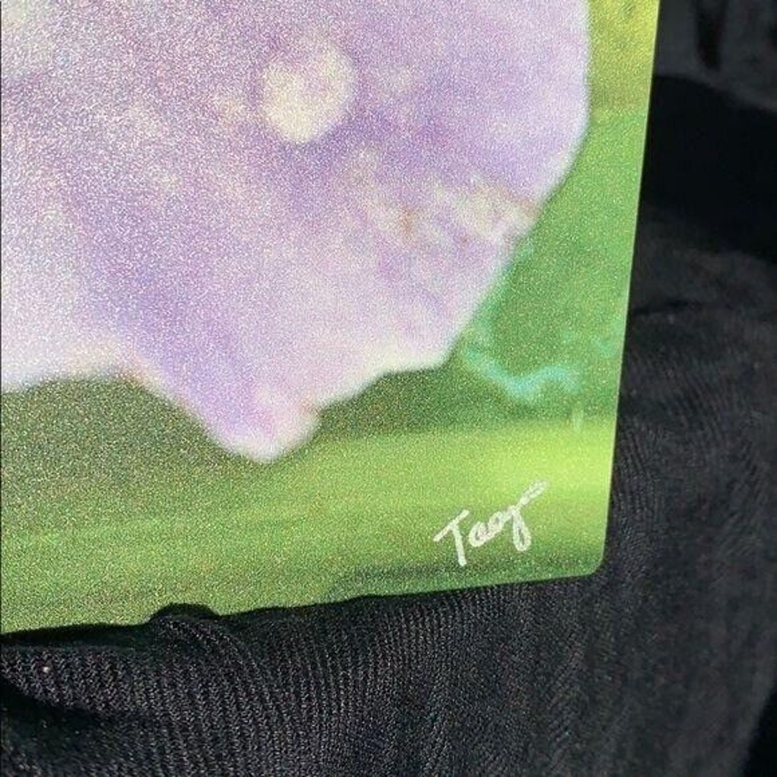 Stunning Dew Kissed Flower Signed Metal Photograph Print Art Wall Hanging