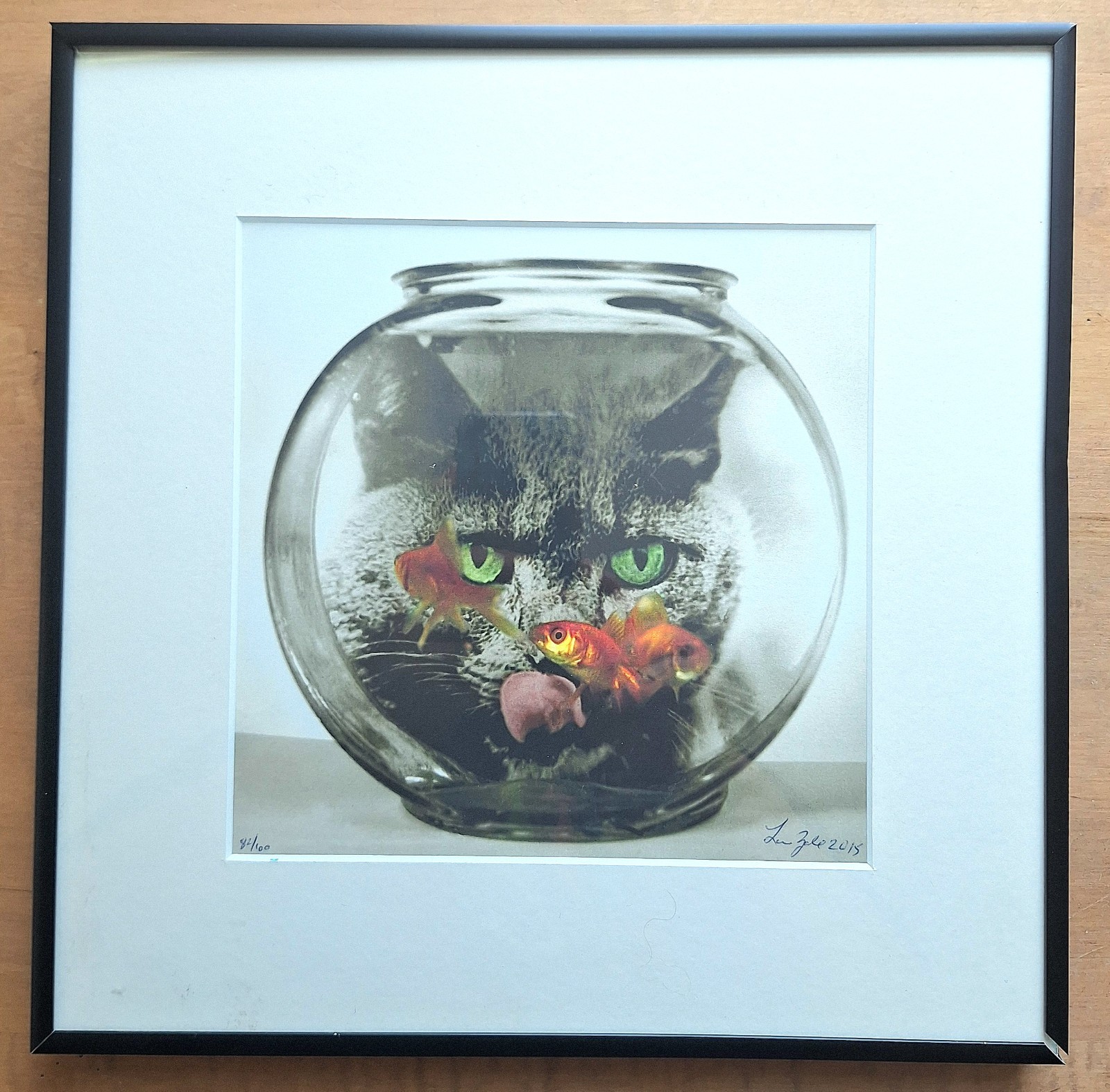 Lou Zale Limited Edition “Cat Watching Goldfish” Framed Art Photography 2015