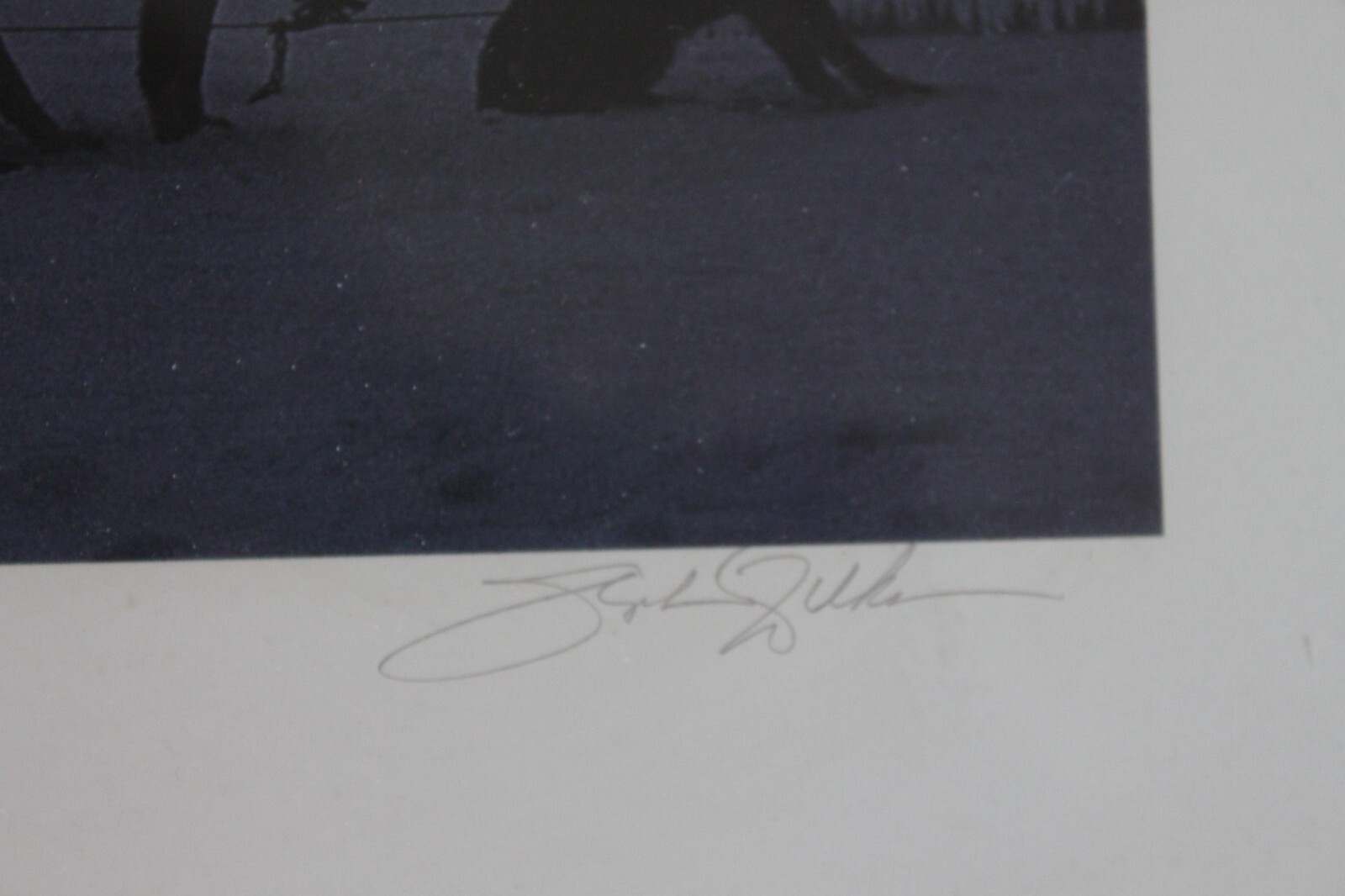 Stephen Wilkes Huskies Limited Edition Color Photograph 65/300 16″ x 20″