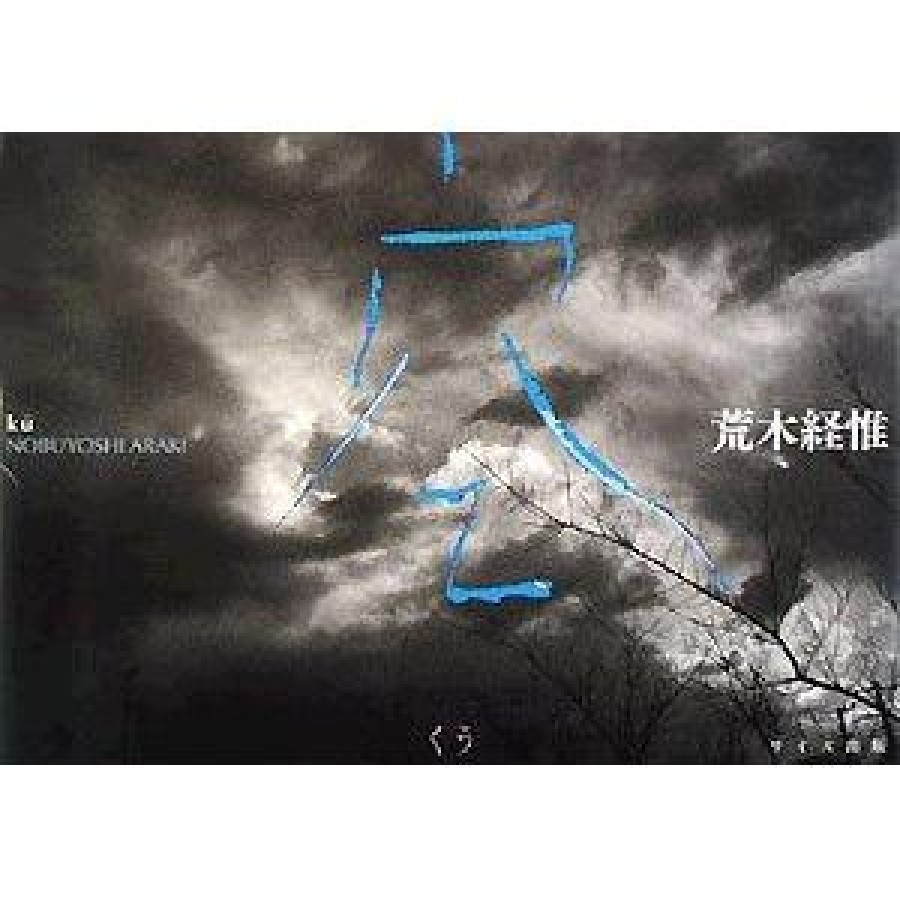 NOBUYOSHI ARAKI KU SKY 2008