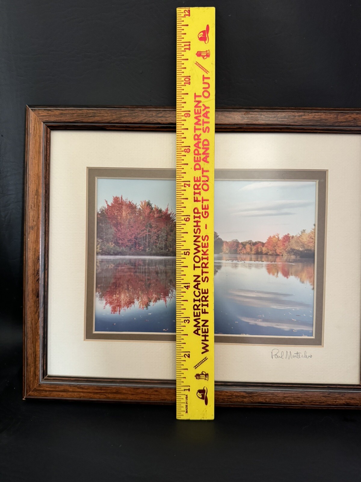 Signed Photo Framed Wall Art Fall Trees, Lake Country Photo Art