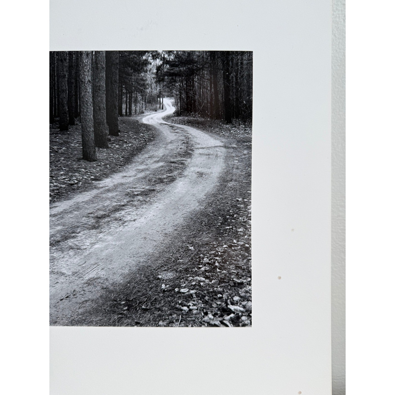 Black and White Winding Forest Path Landscape Photo Matted Art Print