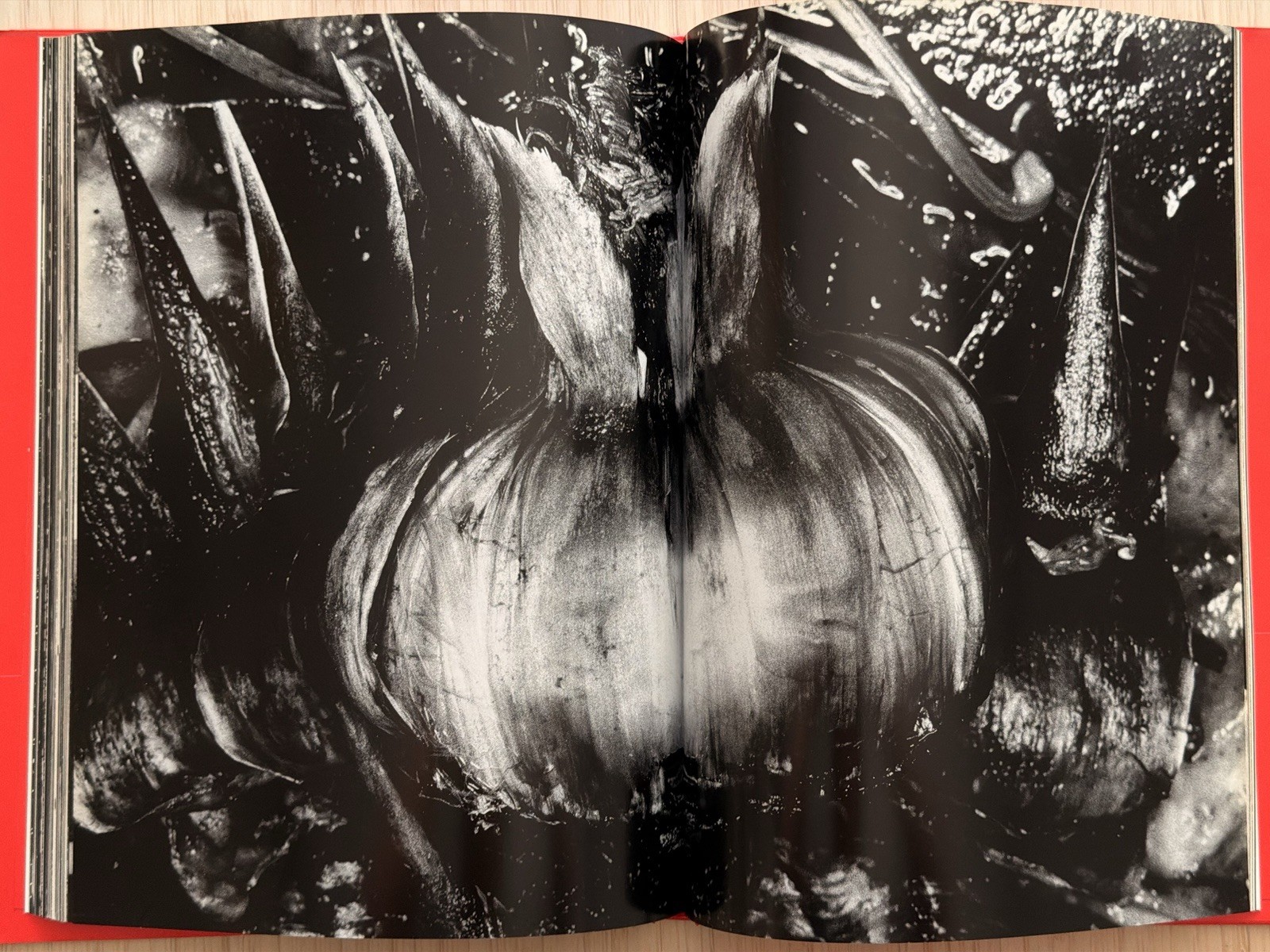 🎈SIGNED Nobuyoshi Araki – EROTOS, First Edition 1993, Japan, HC, LIBRO, SupRARE