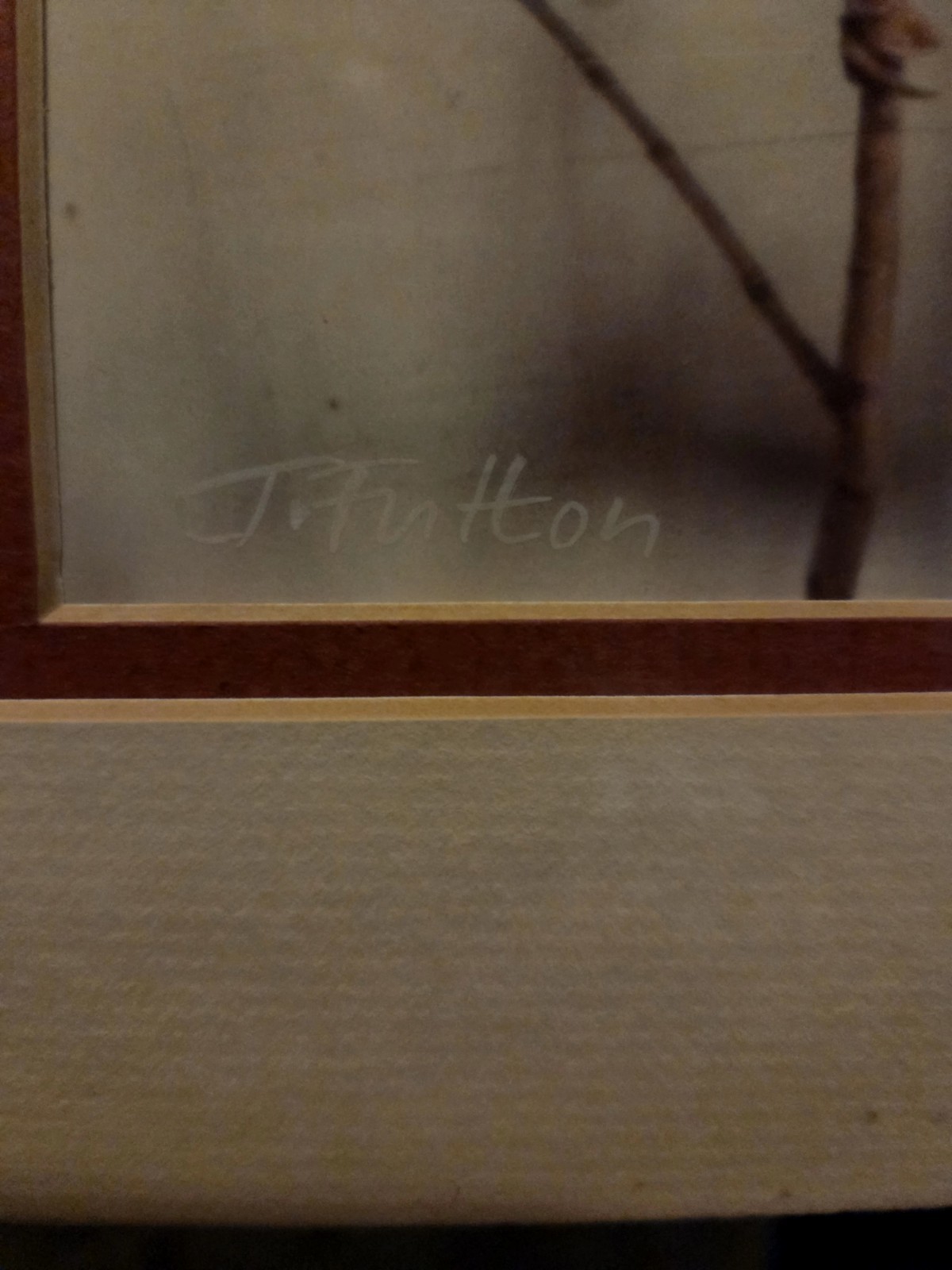 New Sealed John Fulton Original Photo Art Red Cardinal Numbered Signed 1988