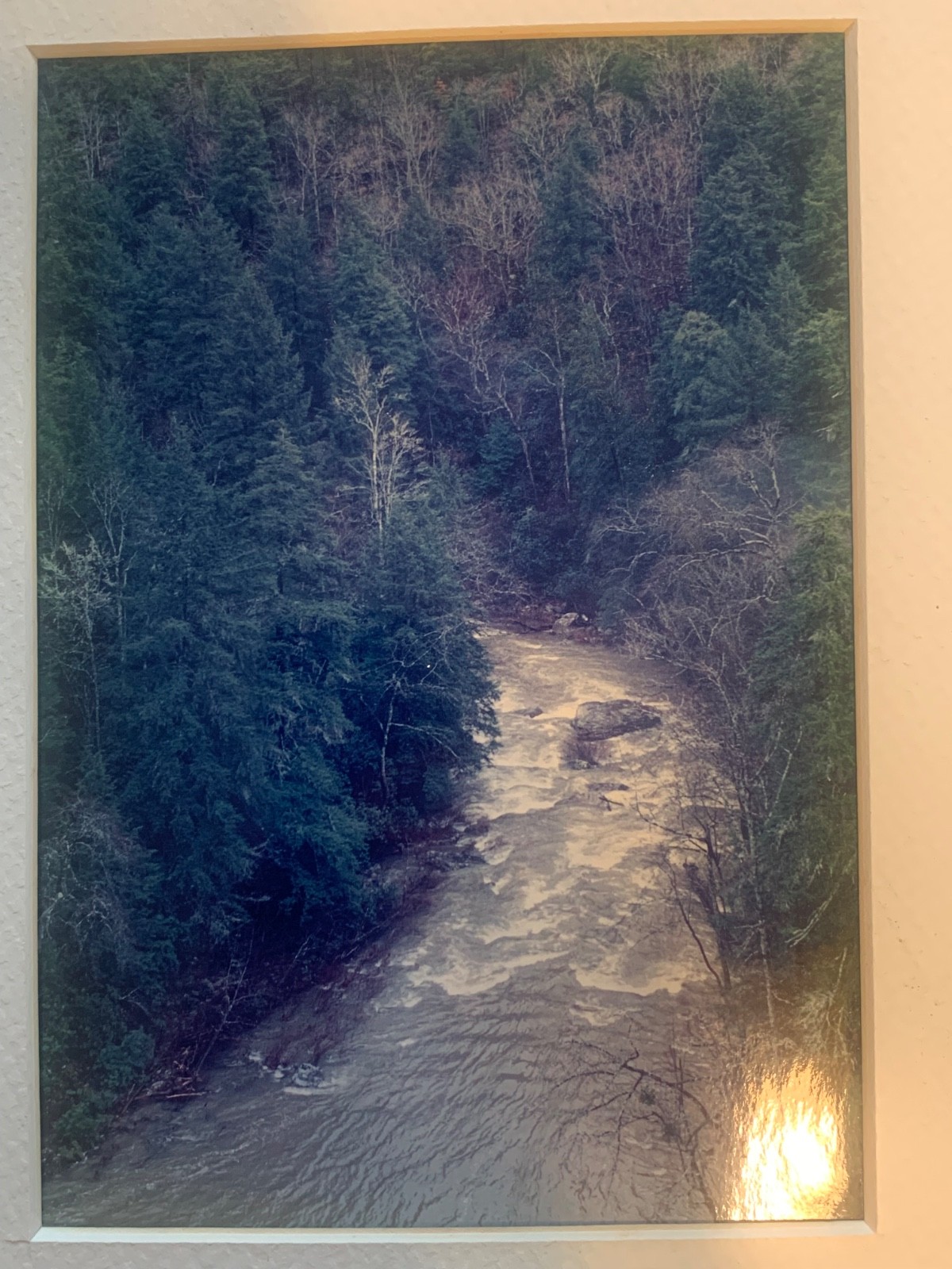 Decorative Color Landscape Photograph River and Forest Scene