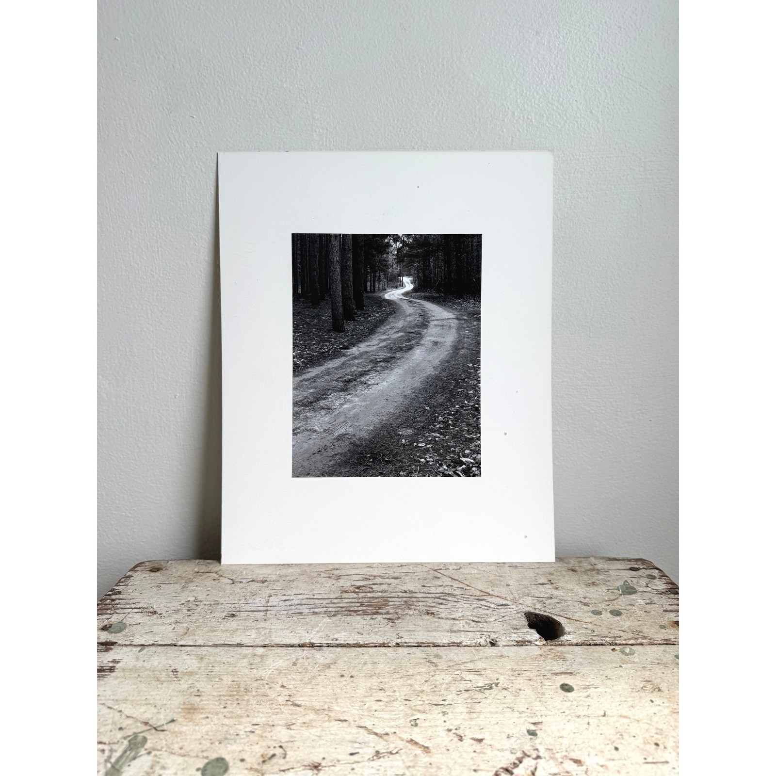 Black and White Winding Forest Path Landscape Photo Matted Art Print