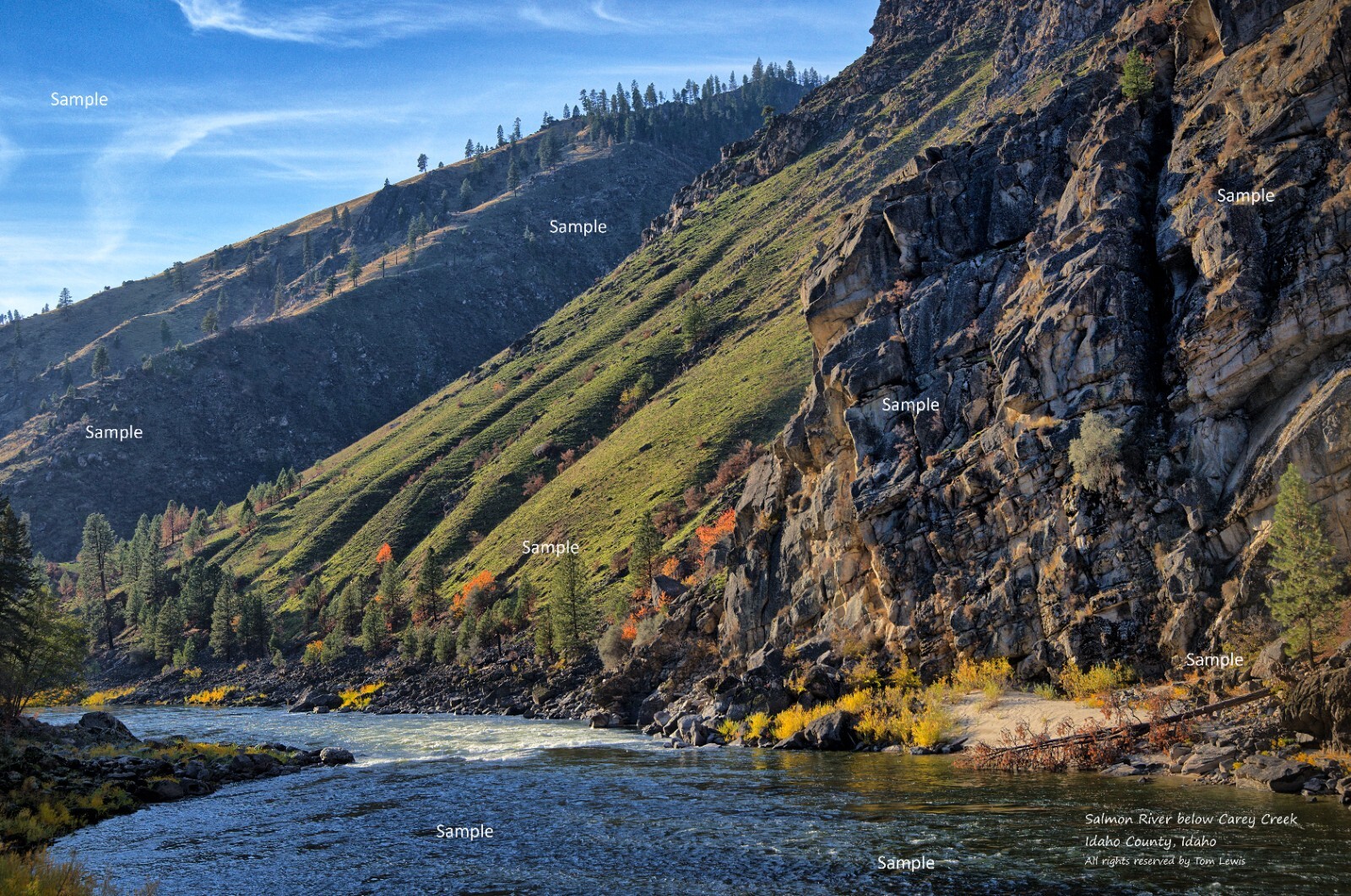 Salmon River below Carey Creek Pack Bridge Idaho Photo Poster Print SR27
