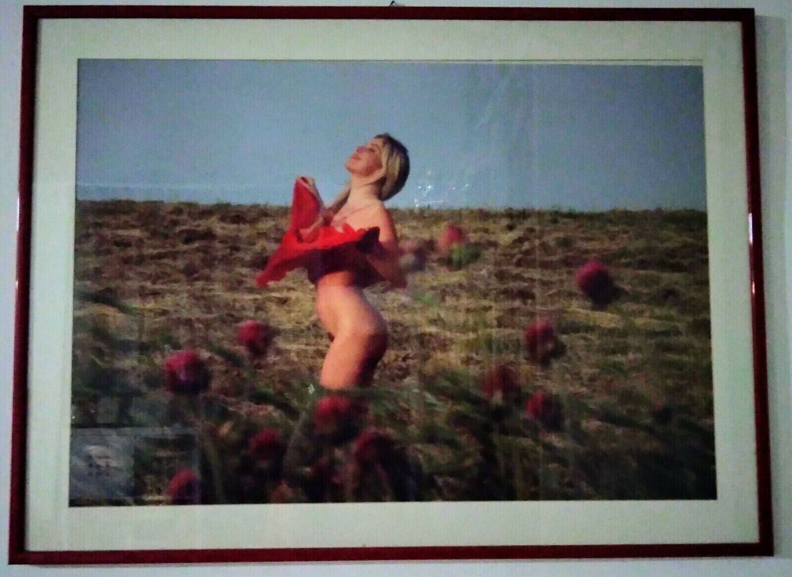 ORIGINAL PHOTO NATURAL TRANSGRESSION R.SCHICCHI MOANA IN POPPY CAMP