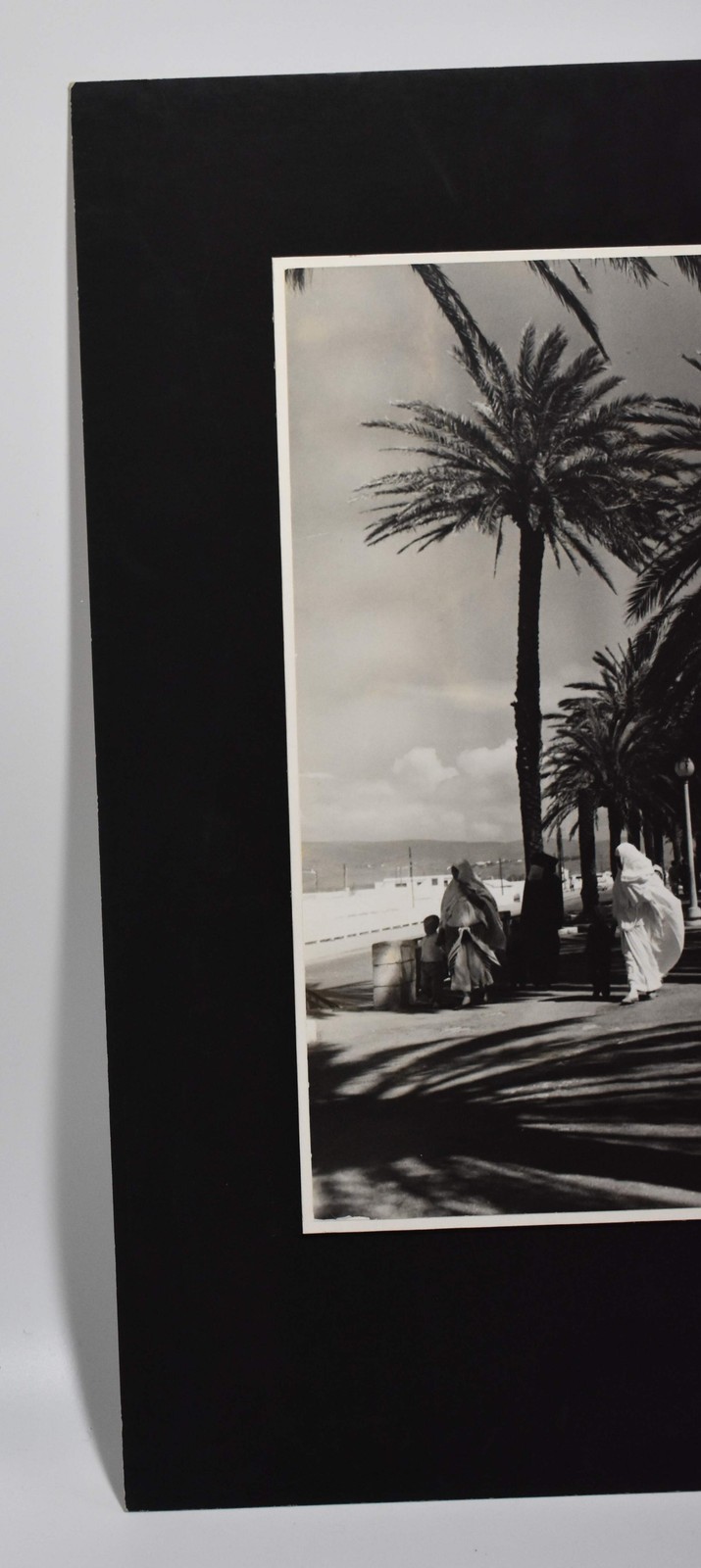 Vintage James W. Howlett Black and White Photograph, ‘Morrocan Palms’