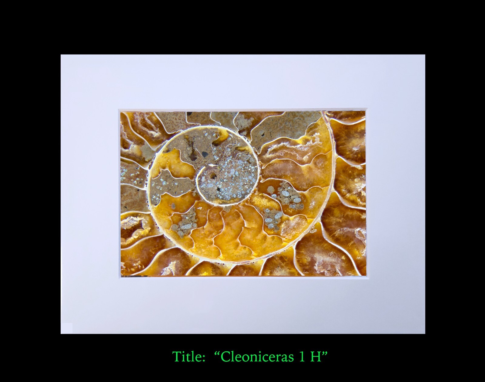 matted photograph, 5″x7″ print, mounted 3/16″ foam with 8″x10″ single white mat
