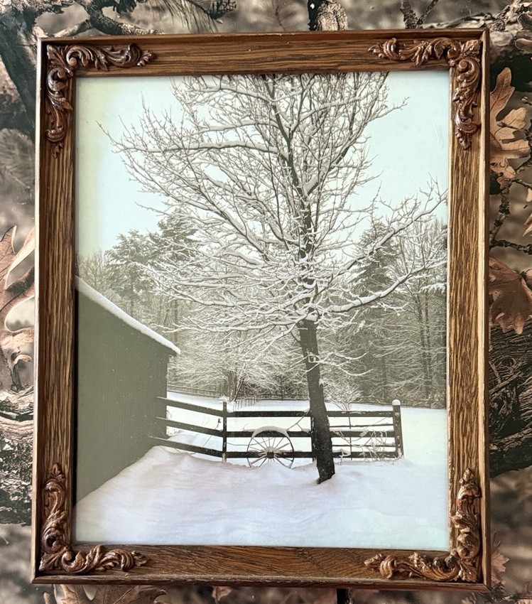 Original photograph, ‘Winter Maple’ by Serene Scenes in Maine, 8×10