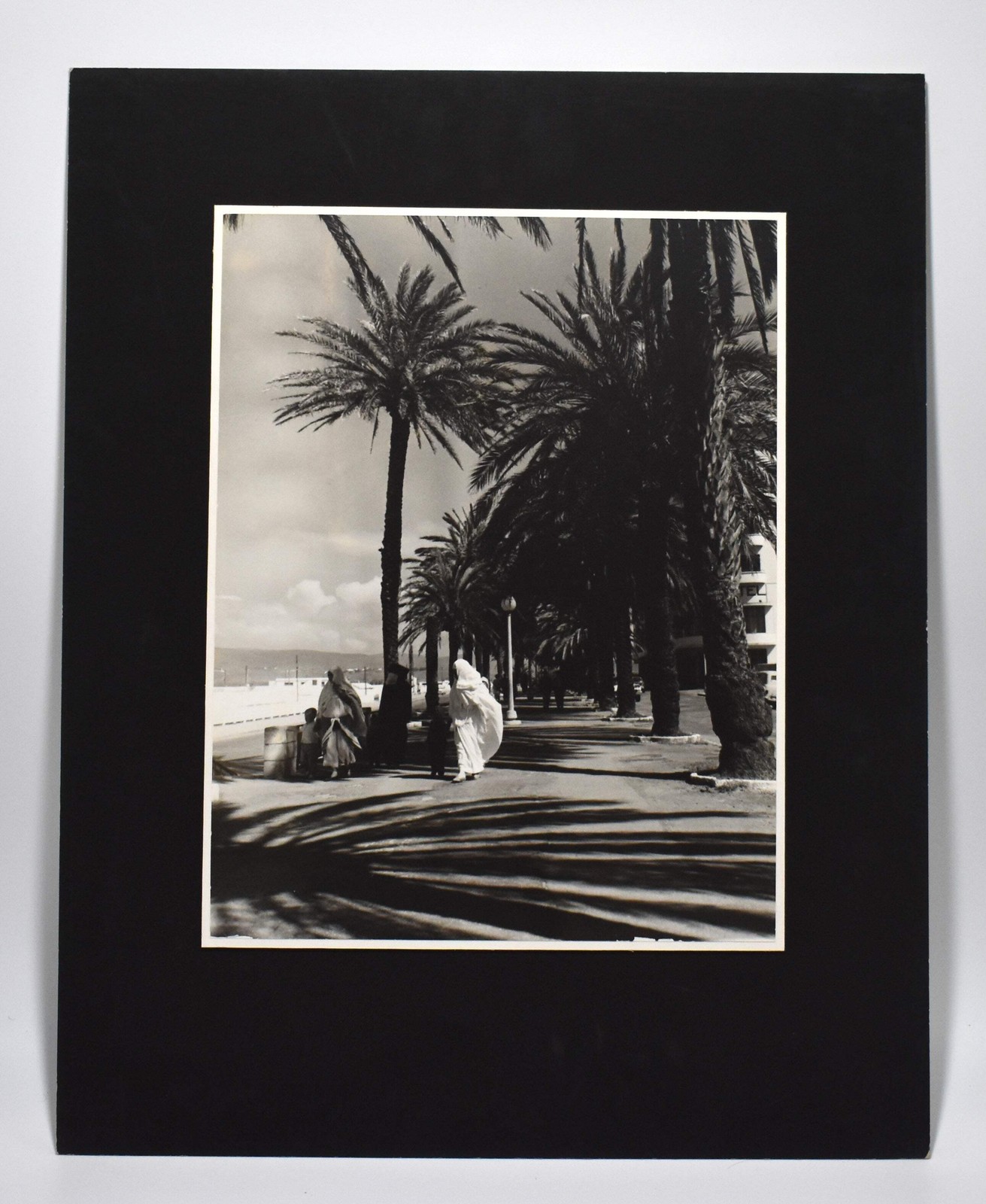 Vintage James W. Howlett Black and White Photograph, ‘Morrocan Palms’