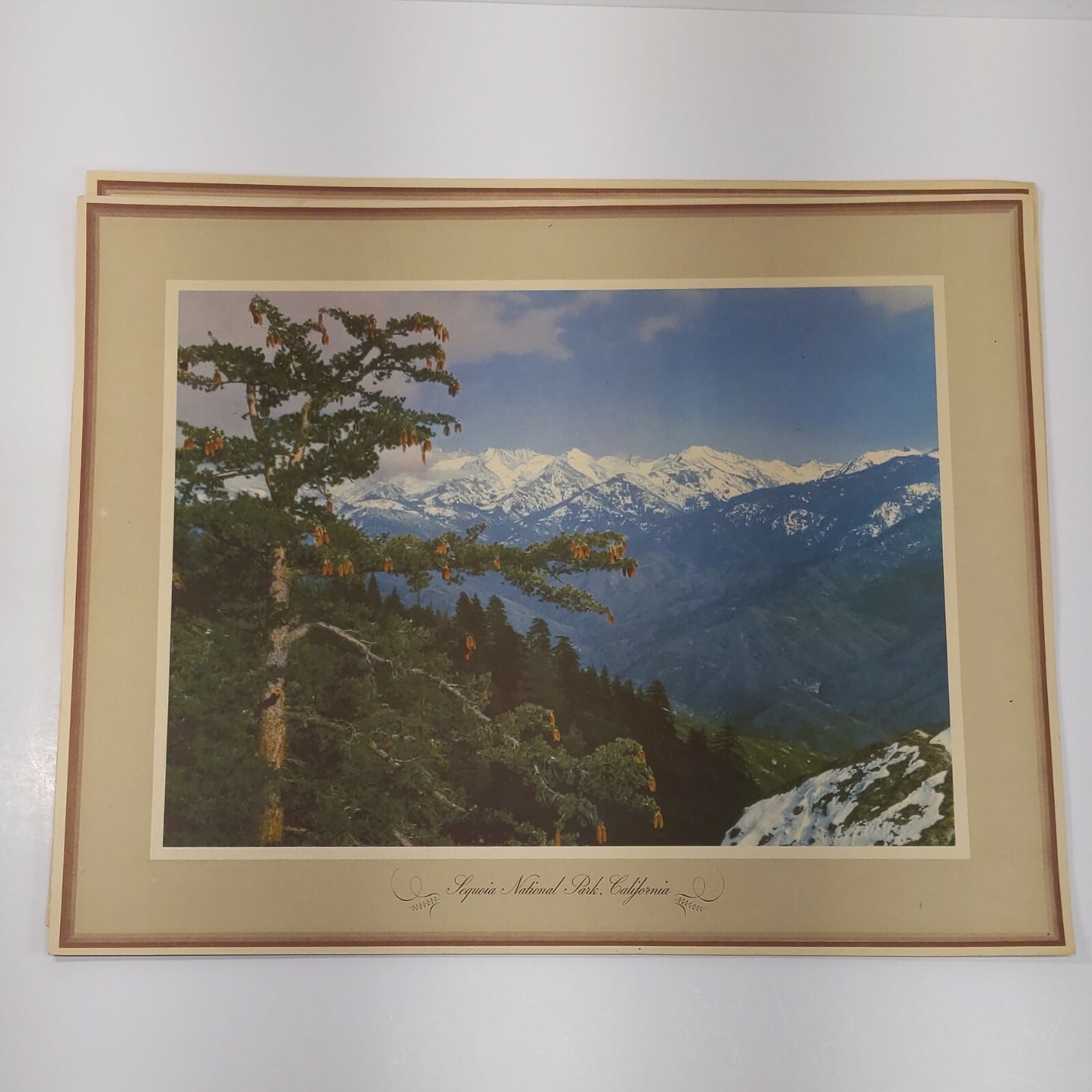 4 Standard Oil Of California National Park Photo Art Prints 12×15″ Sequoia Bryce