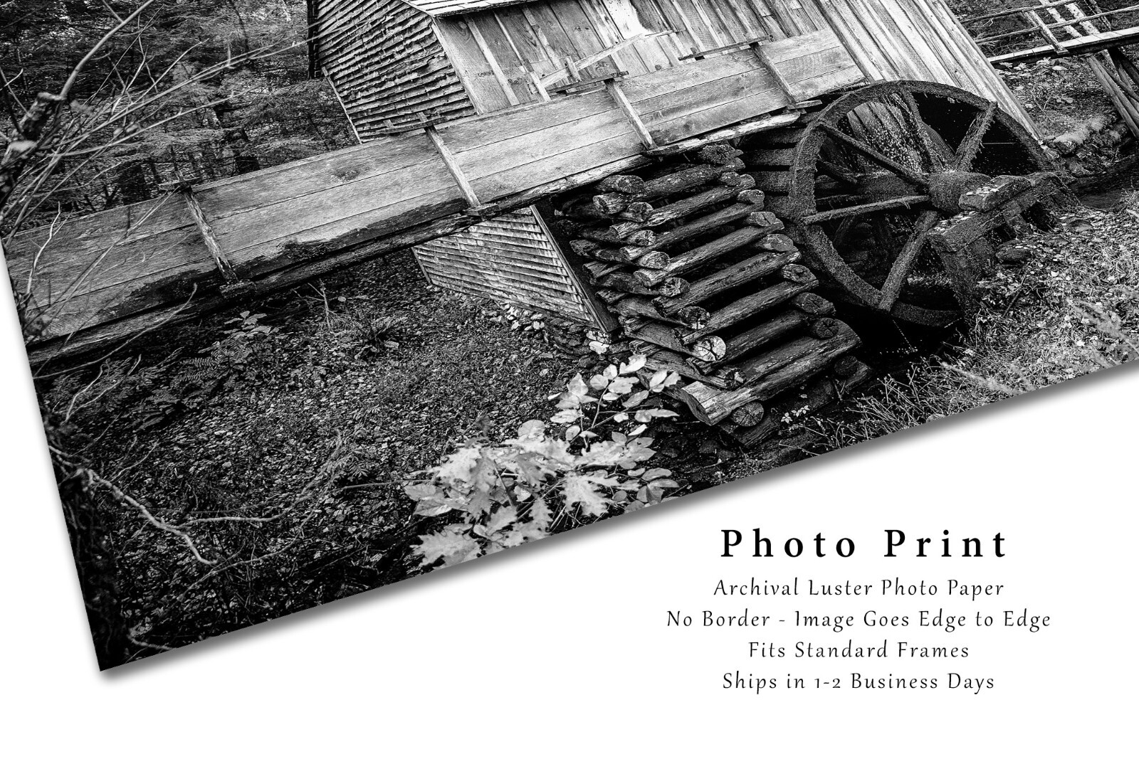Black and White Wall Decor Art Print of Old Saw Mill in Great Smoky Mountains