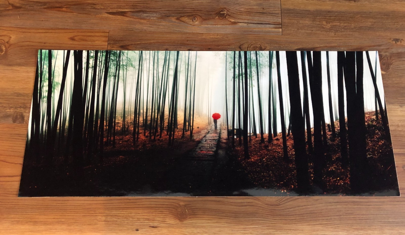Original Bamboo Forest Walking Path Photograph