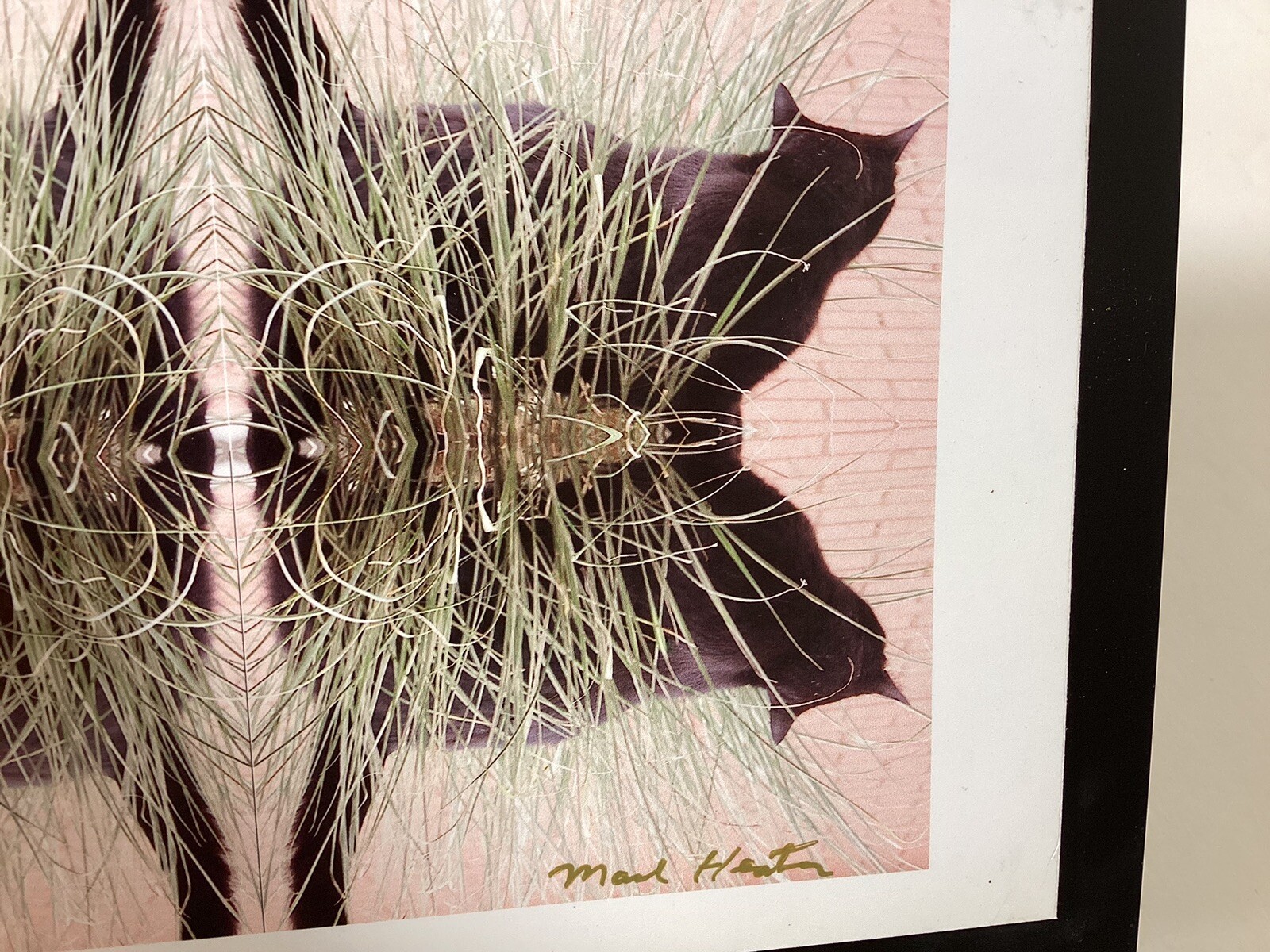 Cat Photography refleted Cats In Grass On Metal Easel Stand 5” X 7”