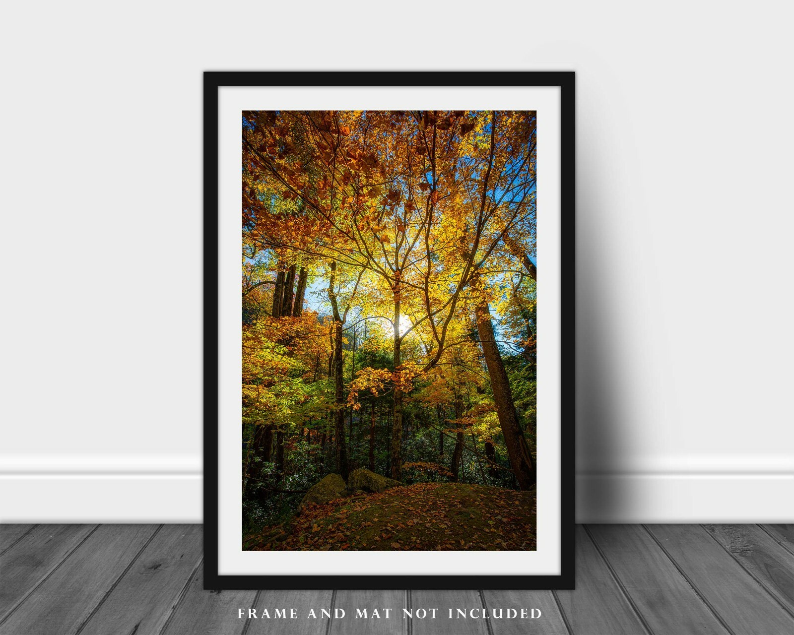 Great Smoky Mountains Tennessee Print – Picture Leaves in Sunlight on Autumn Day