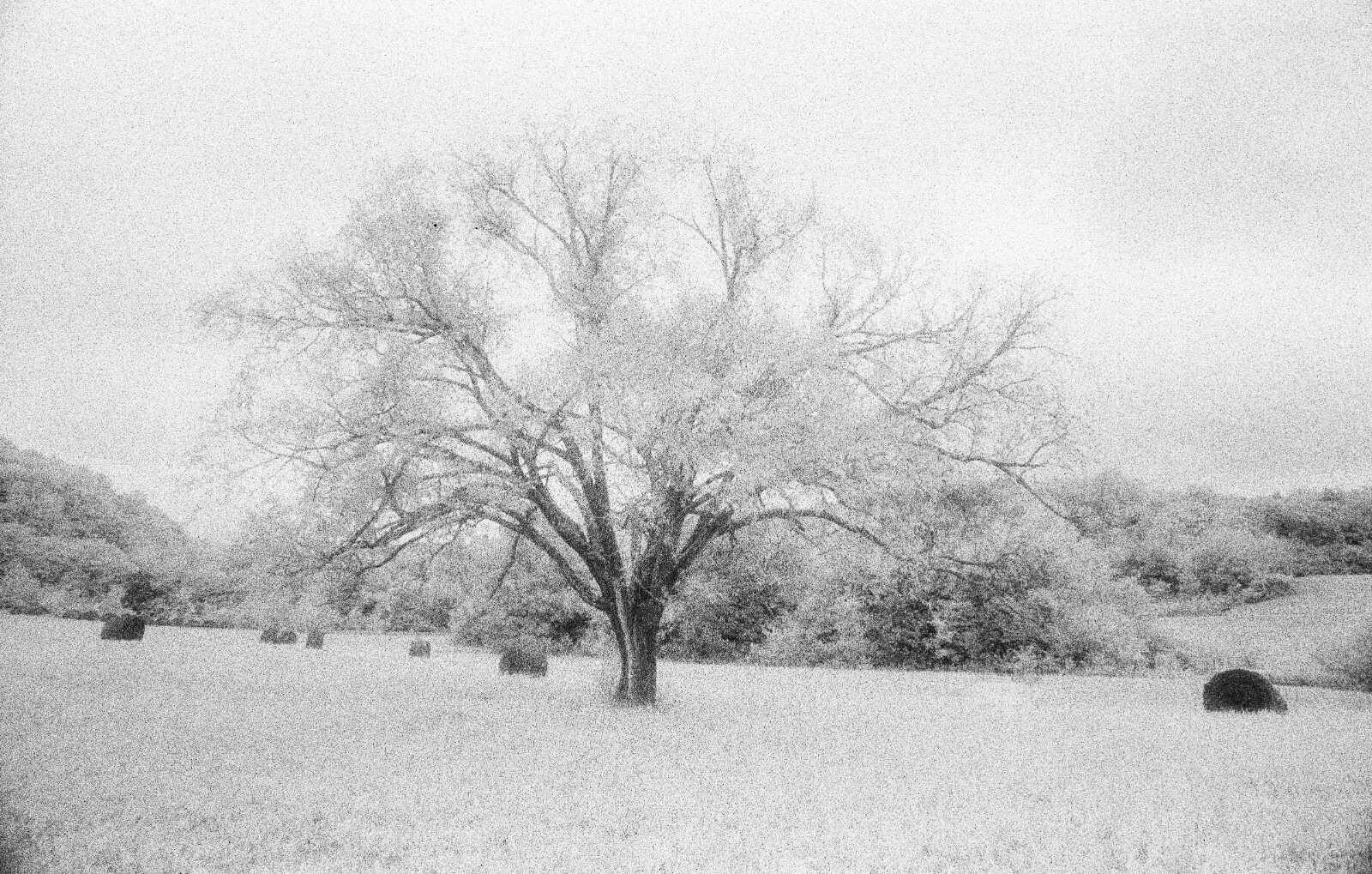 Fine art infrared film print, Rural Tennessee, 12″x19″ glossy paper, unmounted