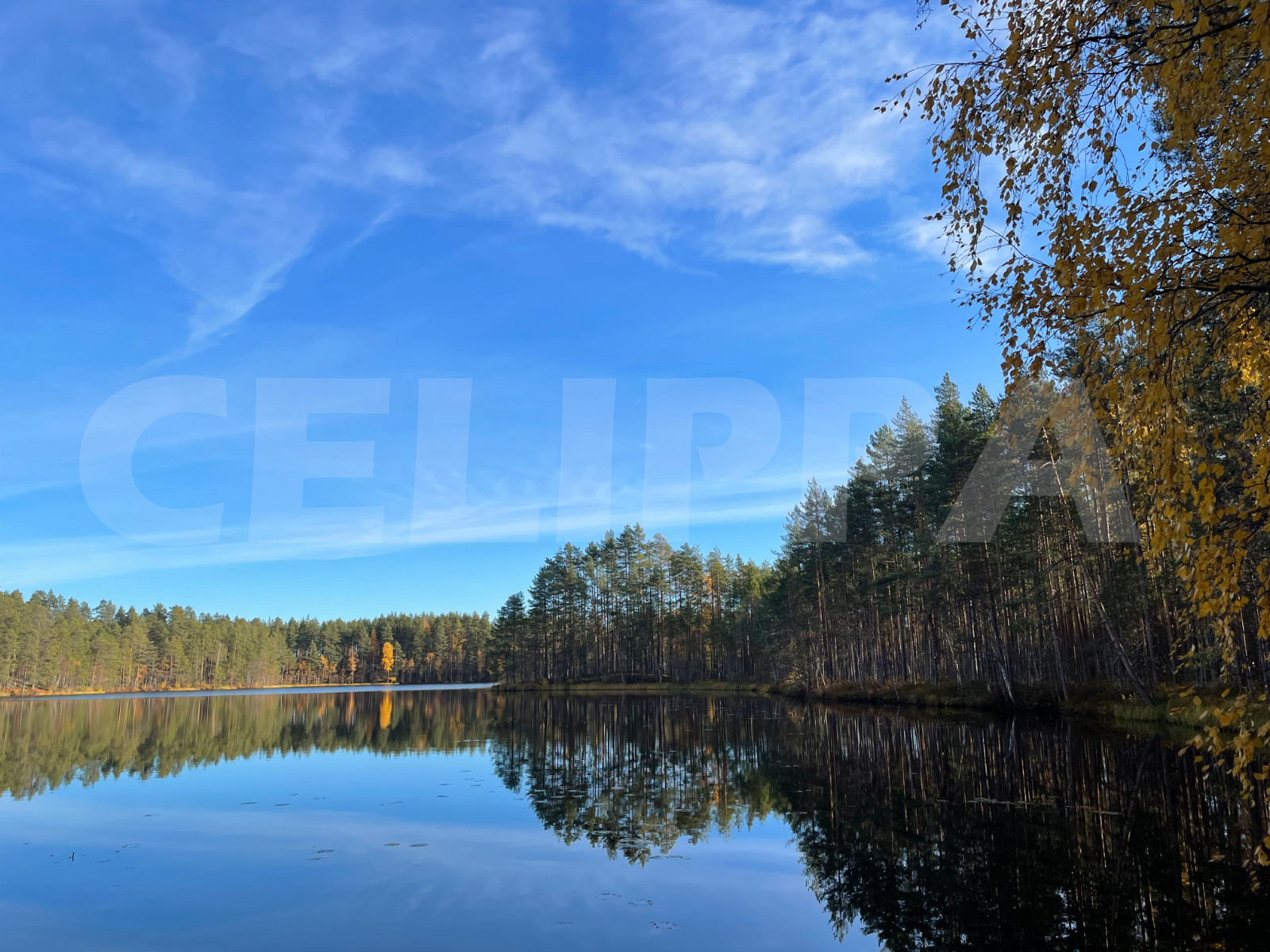 Photo Digital Product Wallpaper Image Picture Background Desktop Art -Lake.Fores