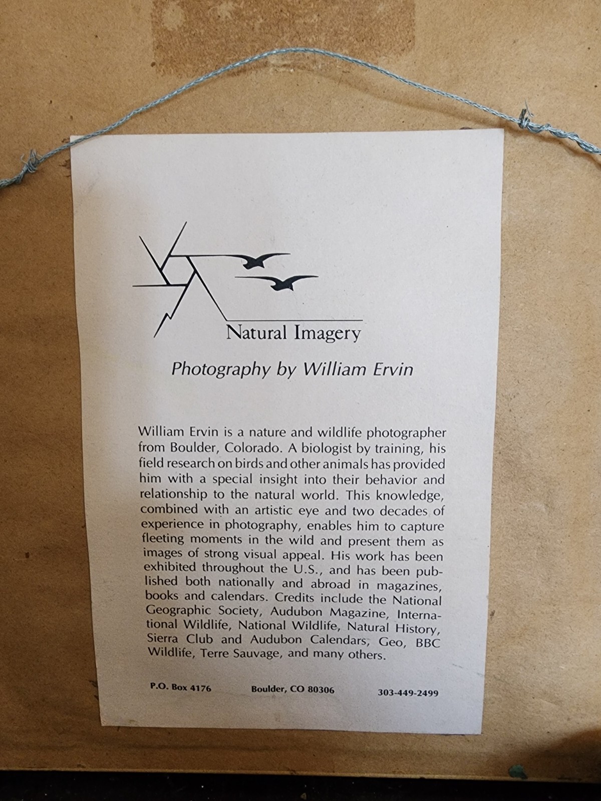 Winter wolf photo signed by William Ervin with natural wood frame