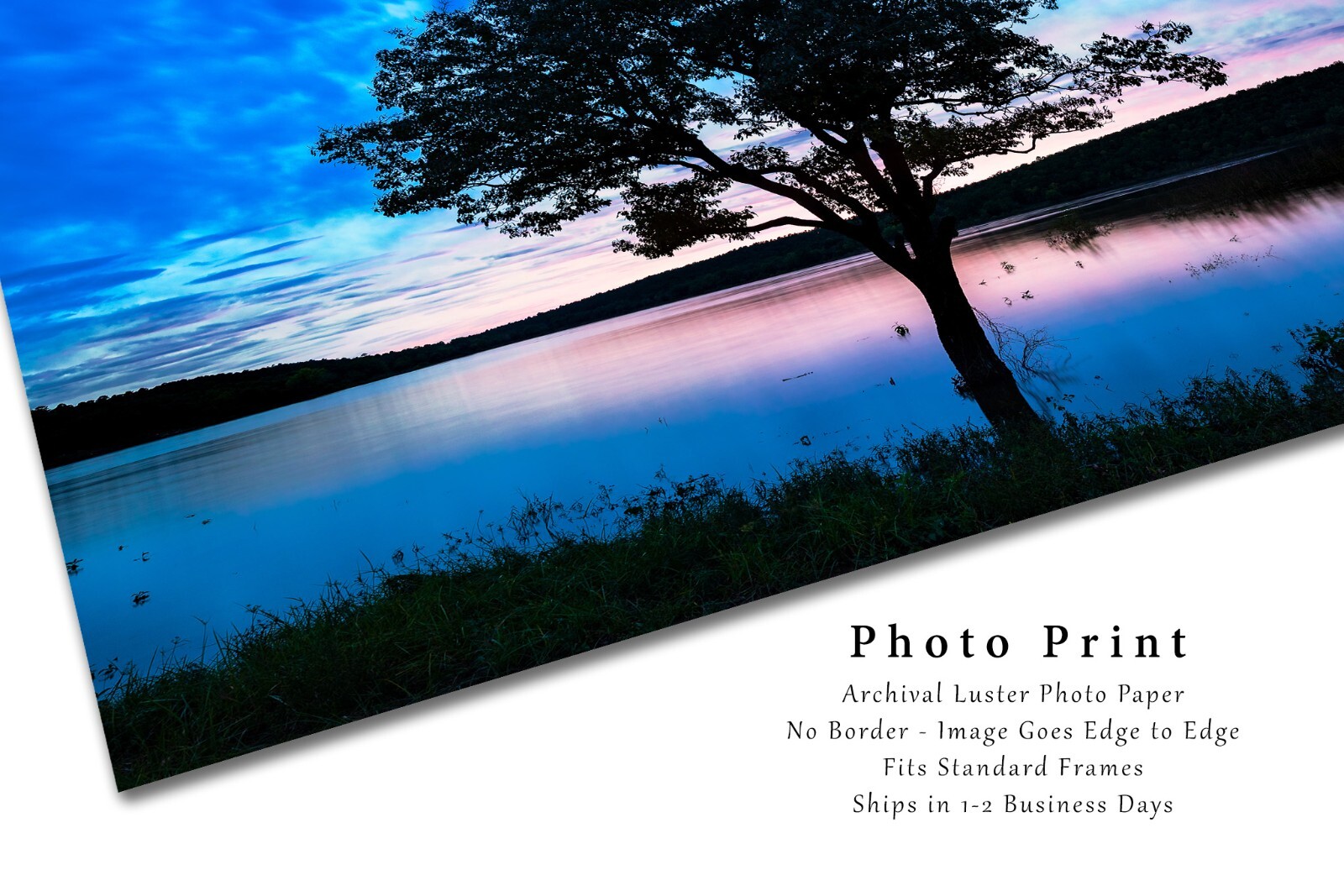Nature Photography Print – Picture of Tree in Lake on Autumn Evening in Oklahoma
