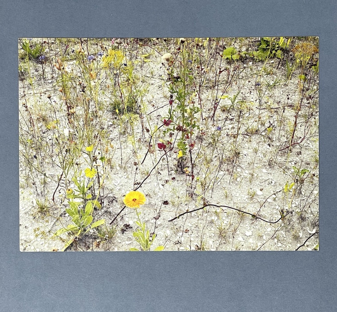 Wout Berger (b. 1941) Art Announcement Card 2007 Bonnie Benrubi Gallery NYC