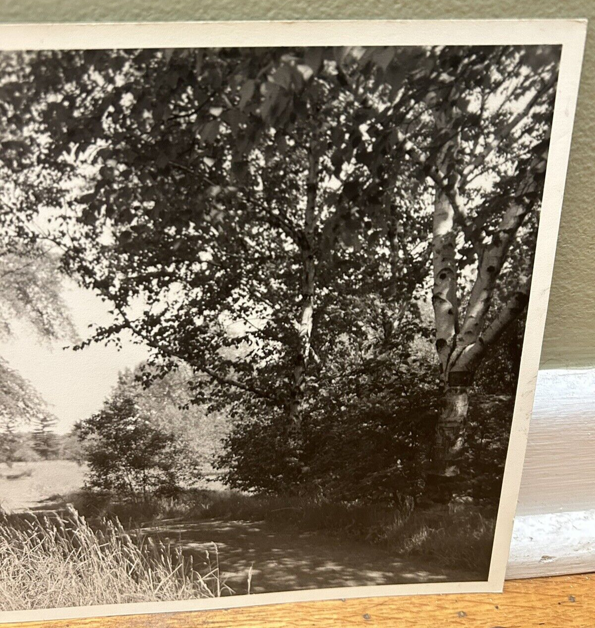 Arthur Gray Standard Oil Photographer Cleveland Ohio Americana Woodland Path Wow