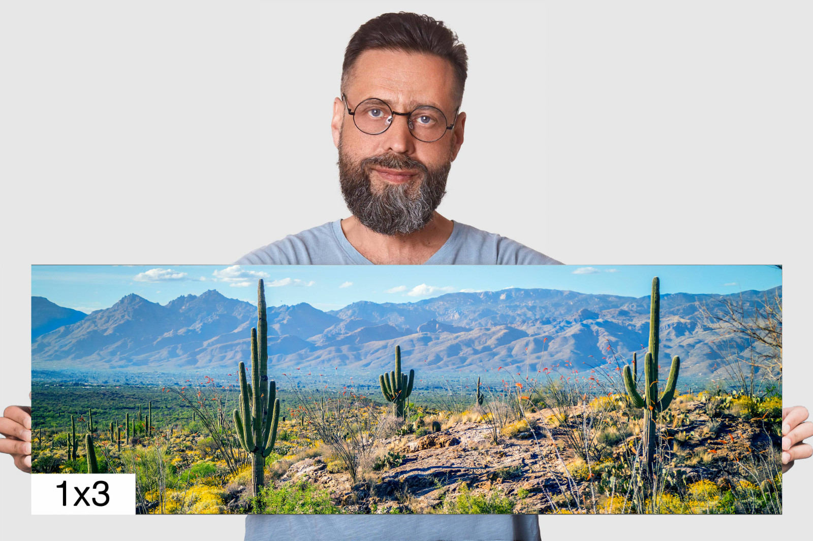 Desert Tapestry: Saguaro National Park East Arizona Cactus Desert Wall Art