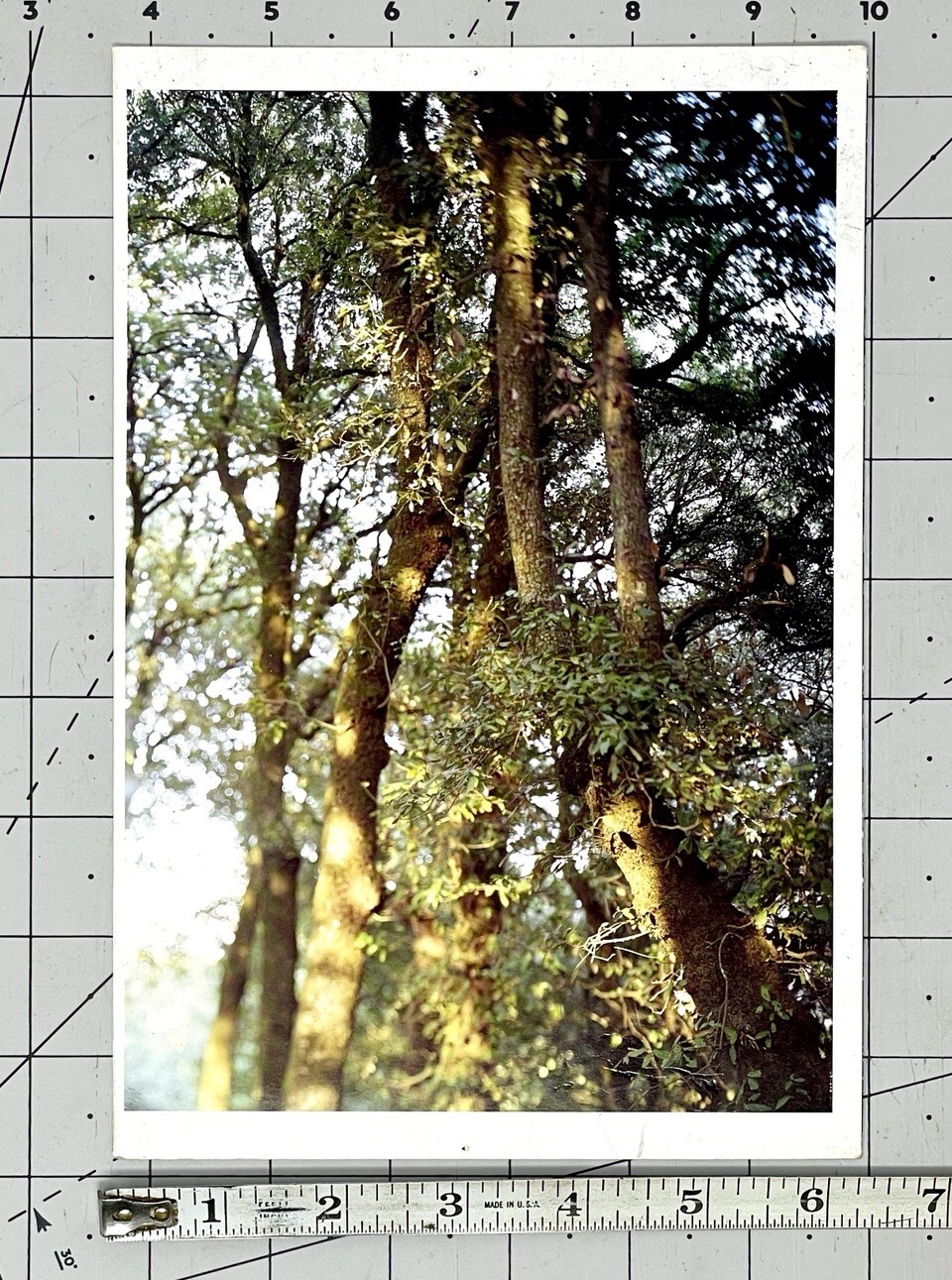 JoAnn Verburg Art Announcement Card 2007