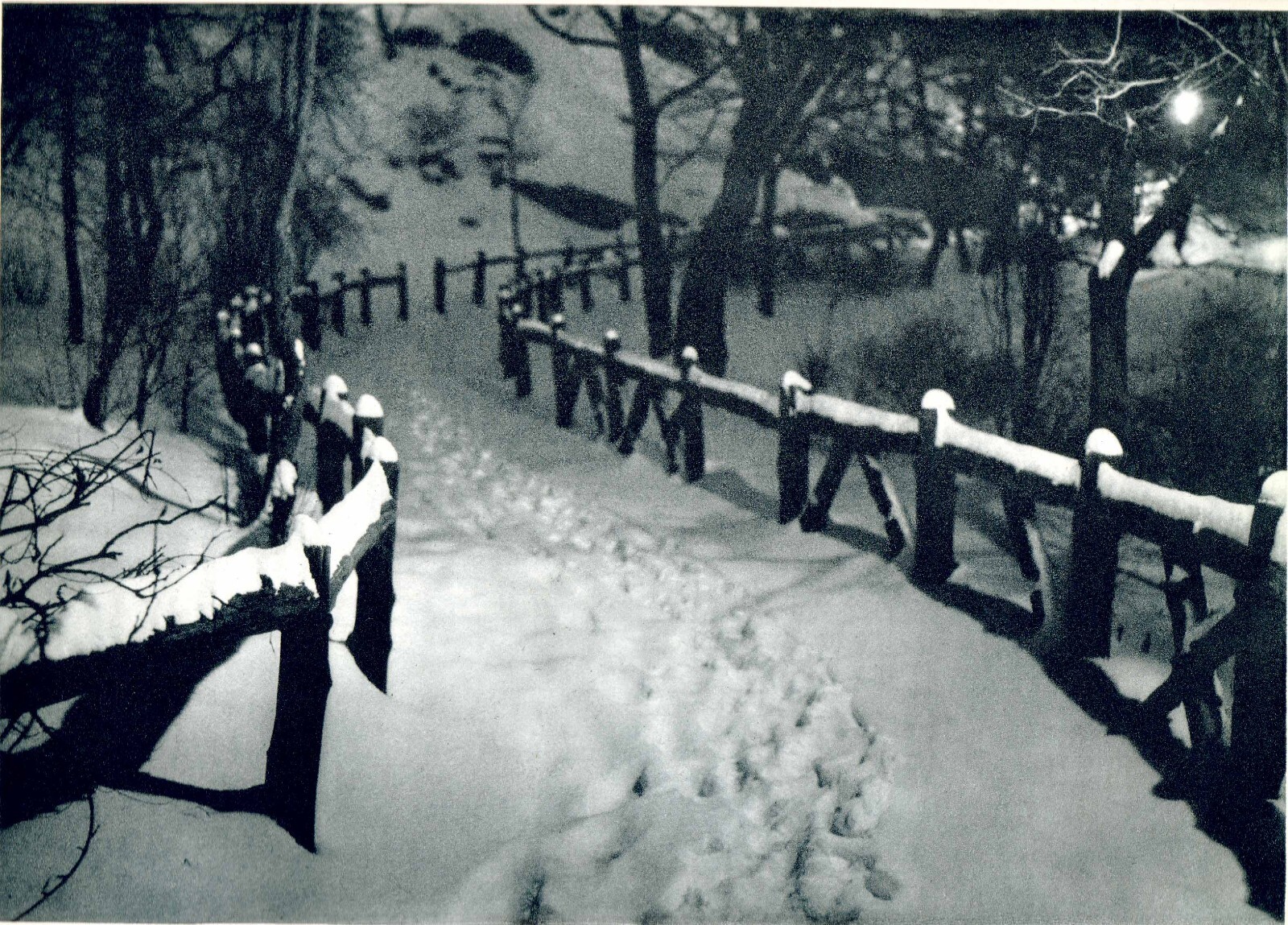Pictorial Artistry (Adolf Fassbender) Signed & Numbered First Edition 40 photos