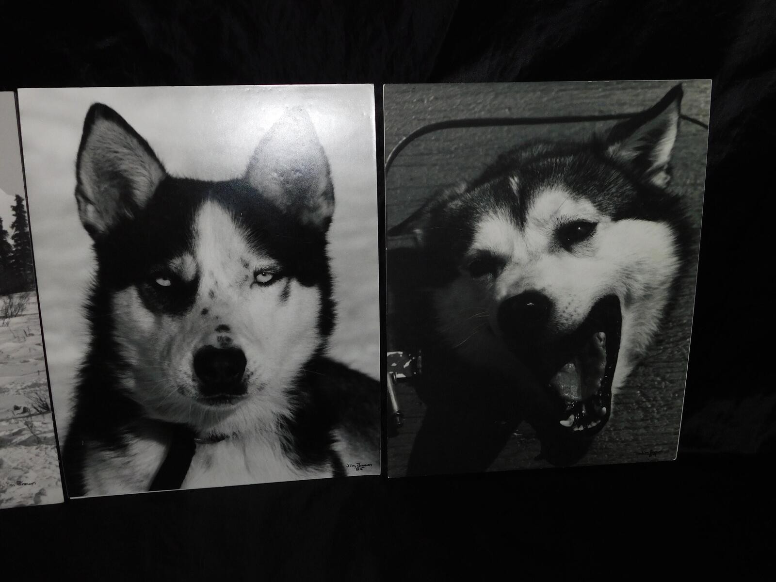Alaska Iditarod Dog Sled Race 1985 Jim Brown Signed Mounted Set 6 Photos