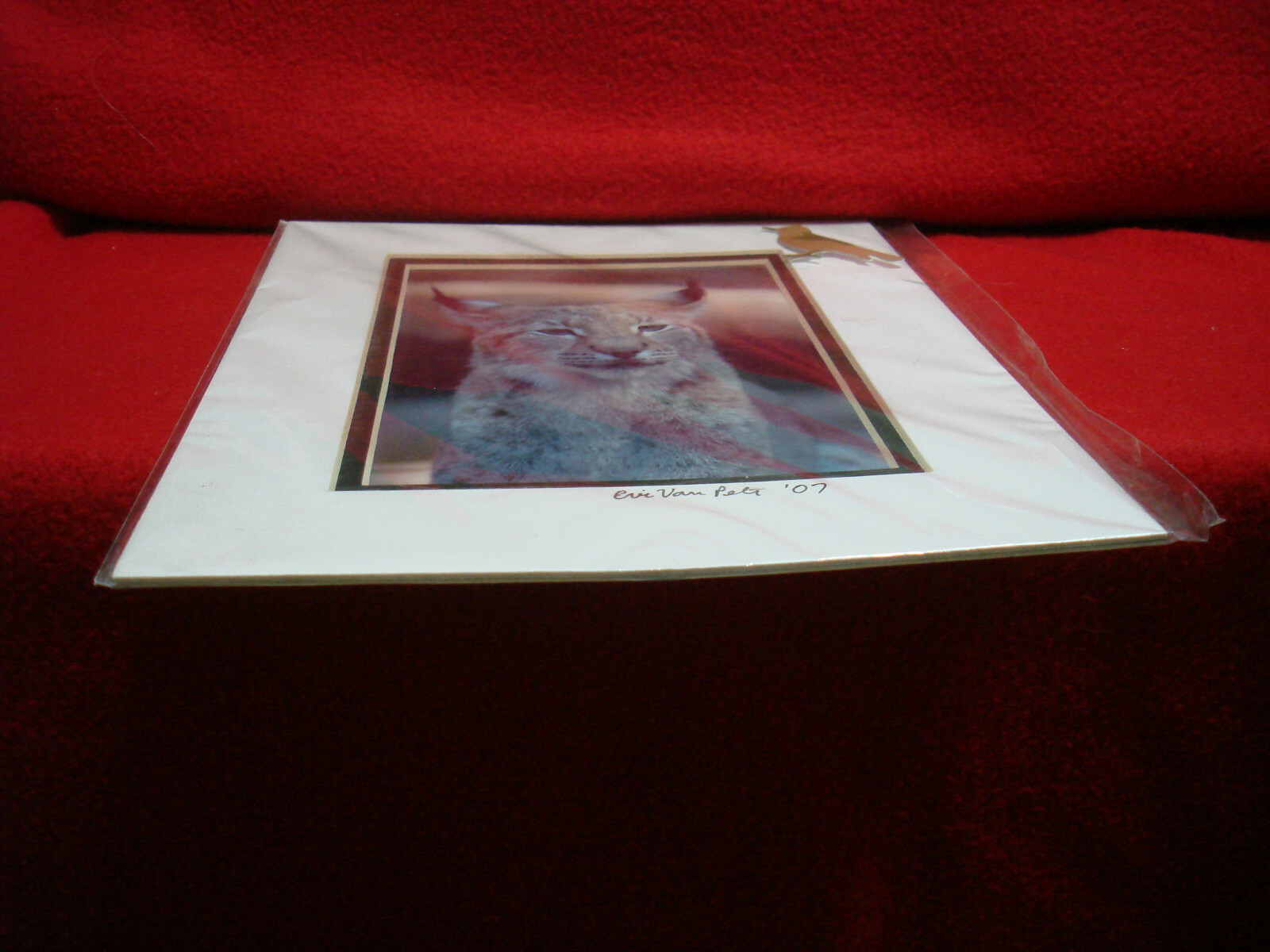 8″x10″ Matted Lynx Portrait Art by Eric Van Pelt 2007