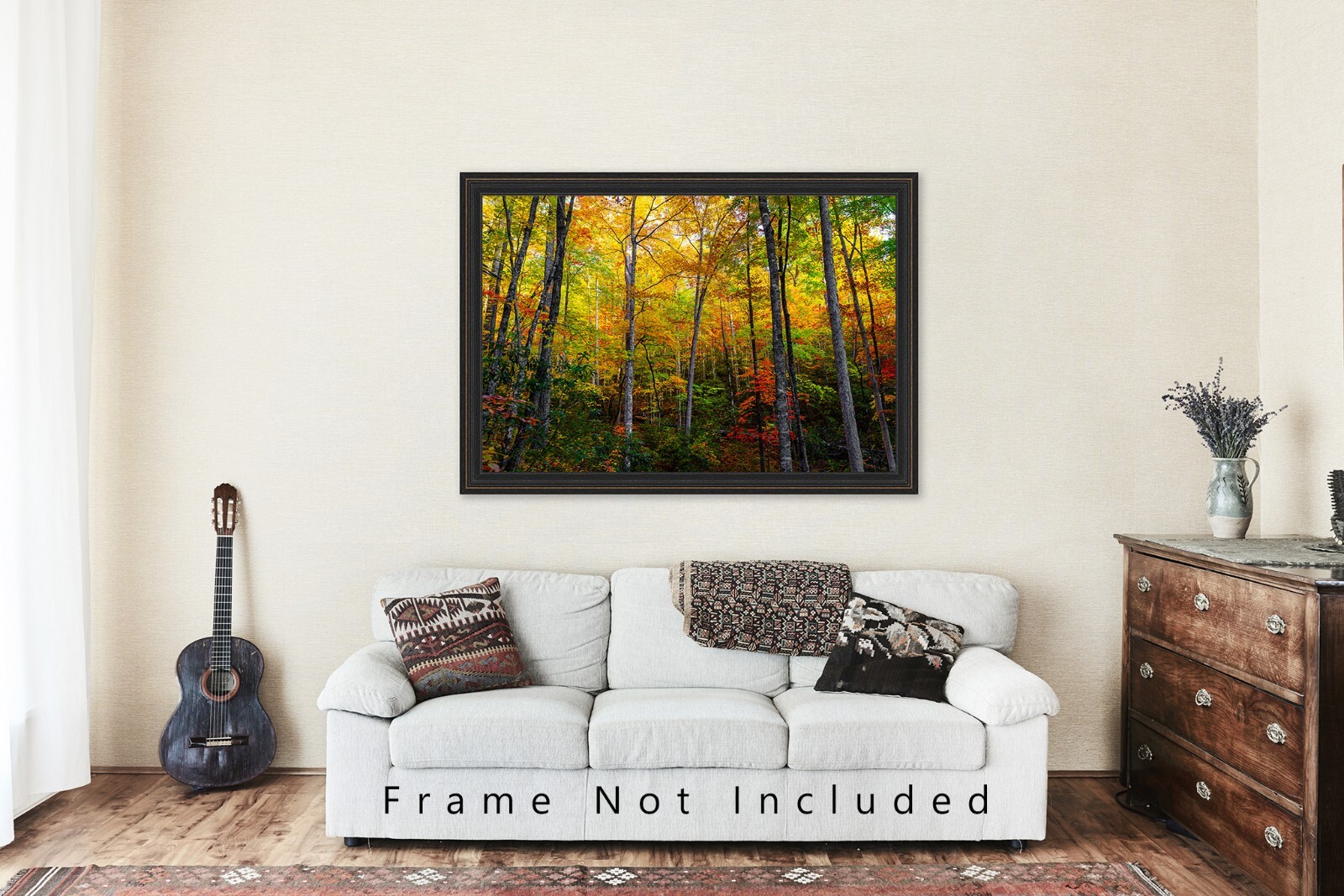 Trees with Fall Color in Great Smoky Mountains Tennessee Photography Print