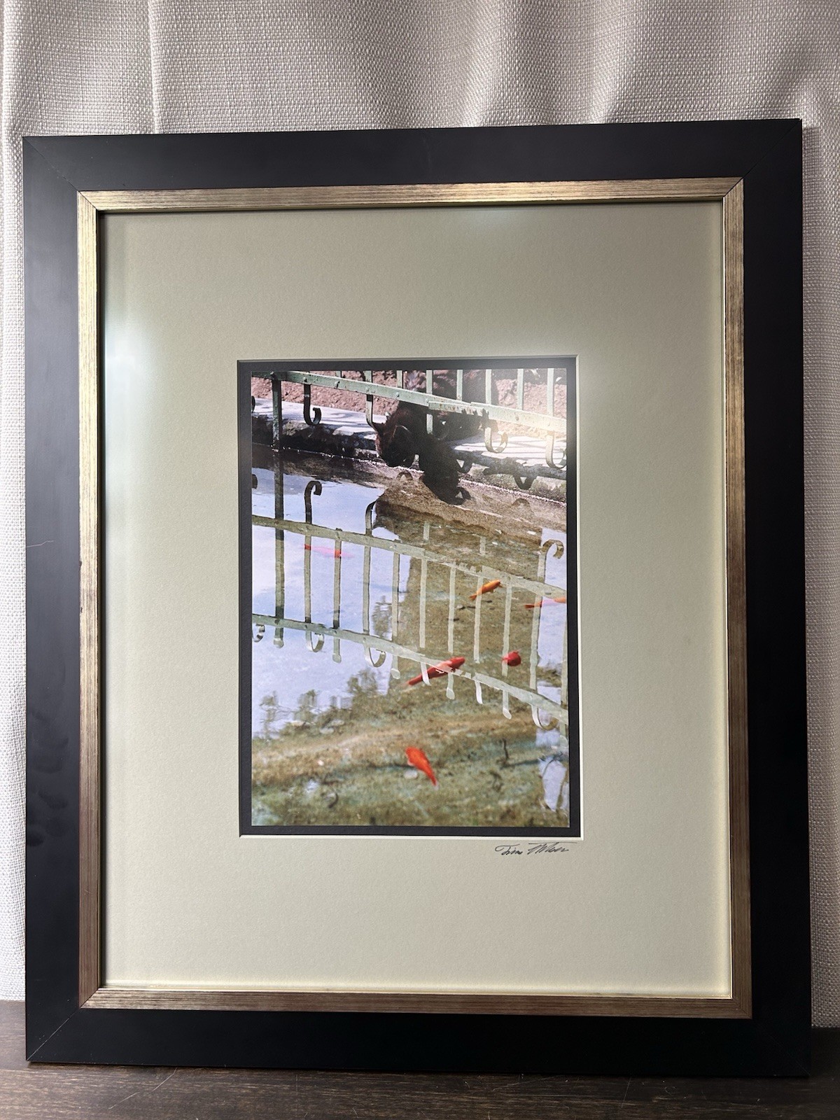 Original Photograph Black Cat Koi Pond Signed Framed Matted Truguard UV Guard