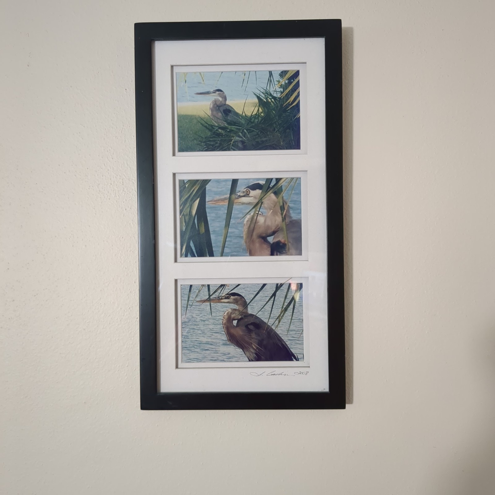 Great Blue Heron Art Prints Framed Signed S. Gooch 2008 Vertical Wildlife Wall