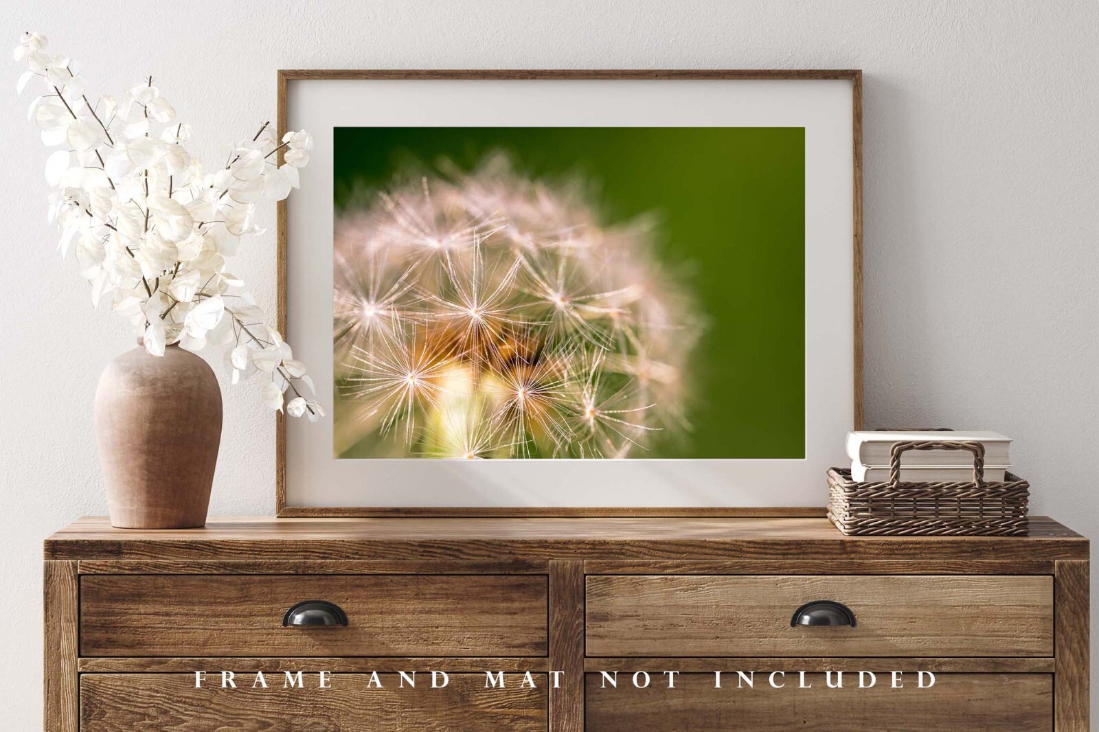 Botanical Photography Print – Picture of Perfect Dandelion on Spring Day