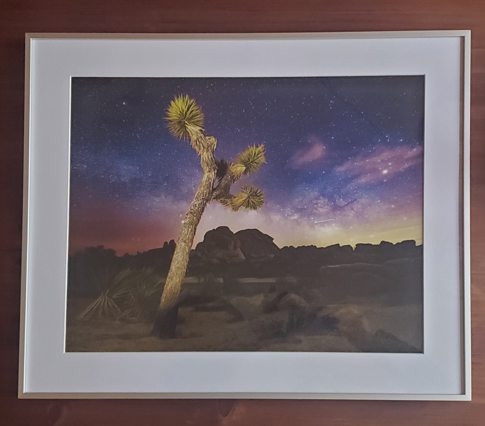 16×20″ Fine Art Photograph of Joshua Tree & Milky Way Sky Signed & Framed 20×24″