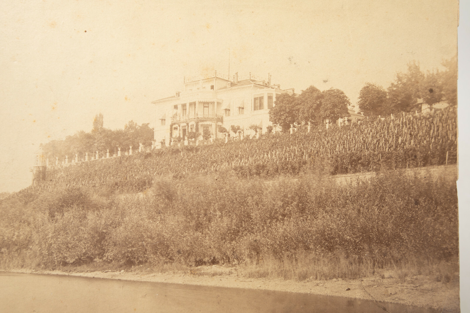Photograph of Estate Coastal Dr. Frank LaFay Neubauer (N6R) Los Angeles Artist