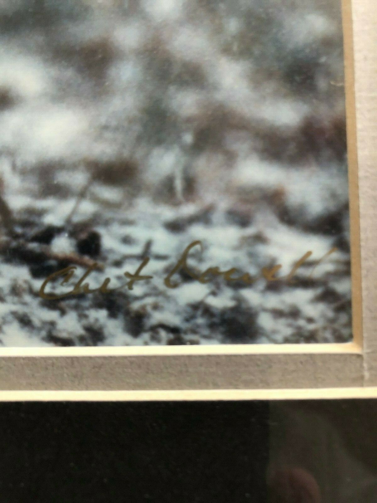 “WOLF EARLY WINTER SNOW” OPEN EDITION FRAMED PHOTOGRAPH BY CHET DOWELL