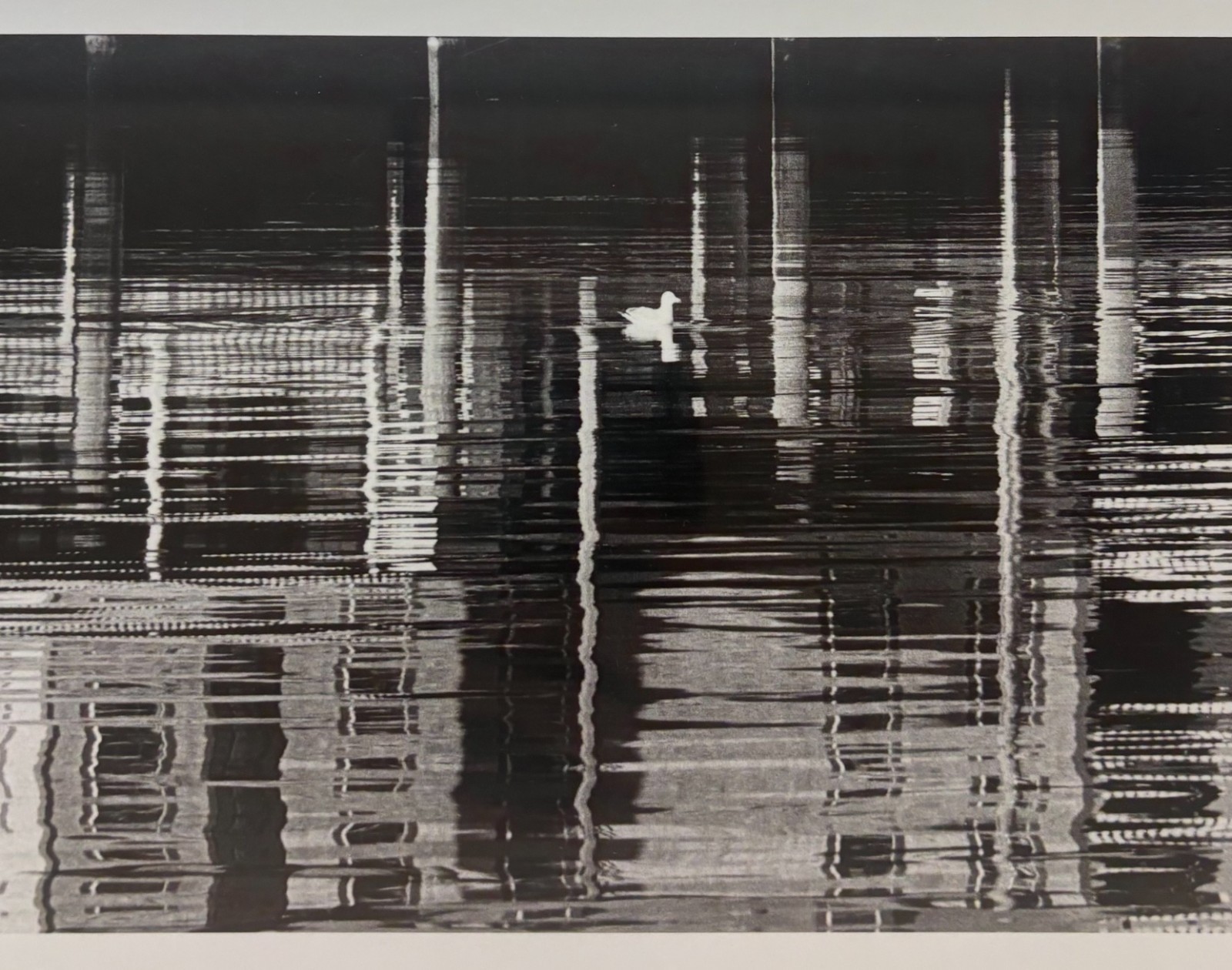 Vintage ALISON SHAW ‘Oak Bluffs Harbor, 1988’ MARTHA’S VINEYARD Gelatin PHOTO