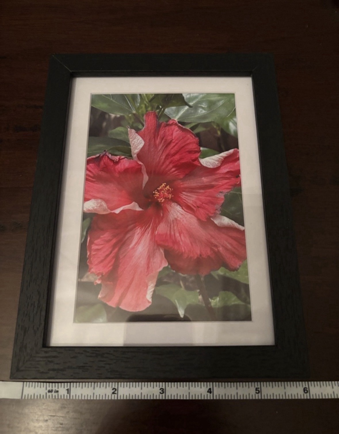 Vibrant Pink Hibiscus Flower Print in Black Wood Frame