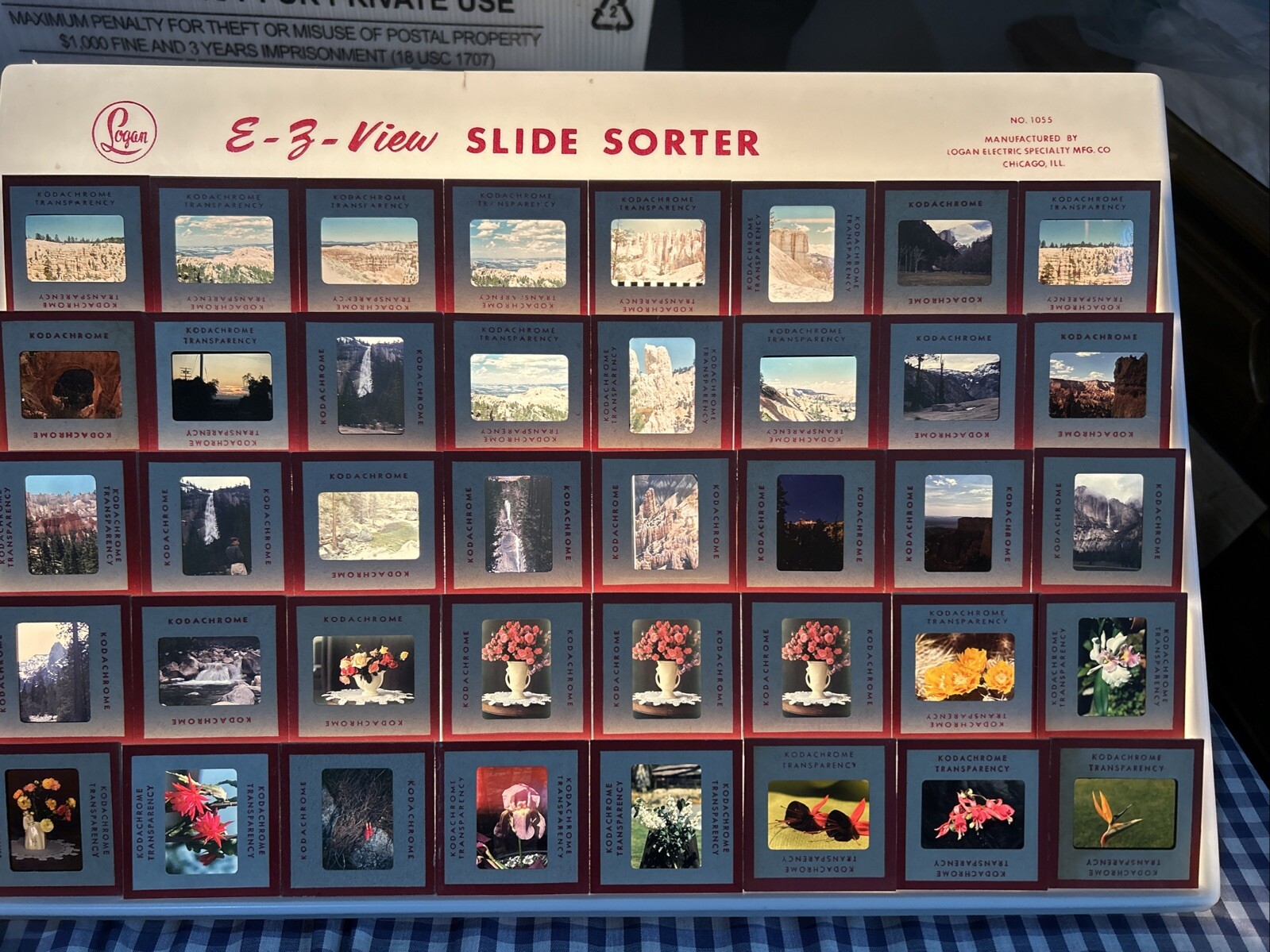 Kodachrome Red Border Lot Of 40 1950’s Camping Trip Flowers 35mm Color Slides