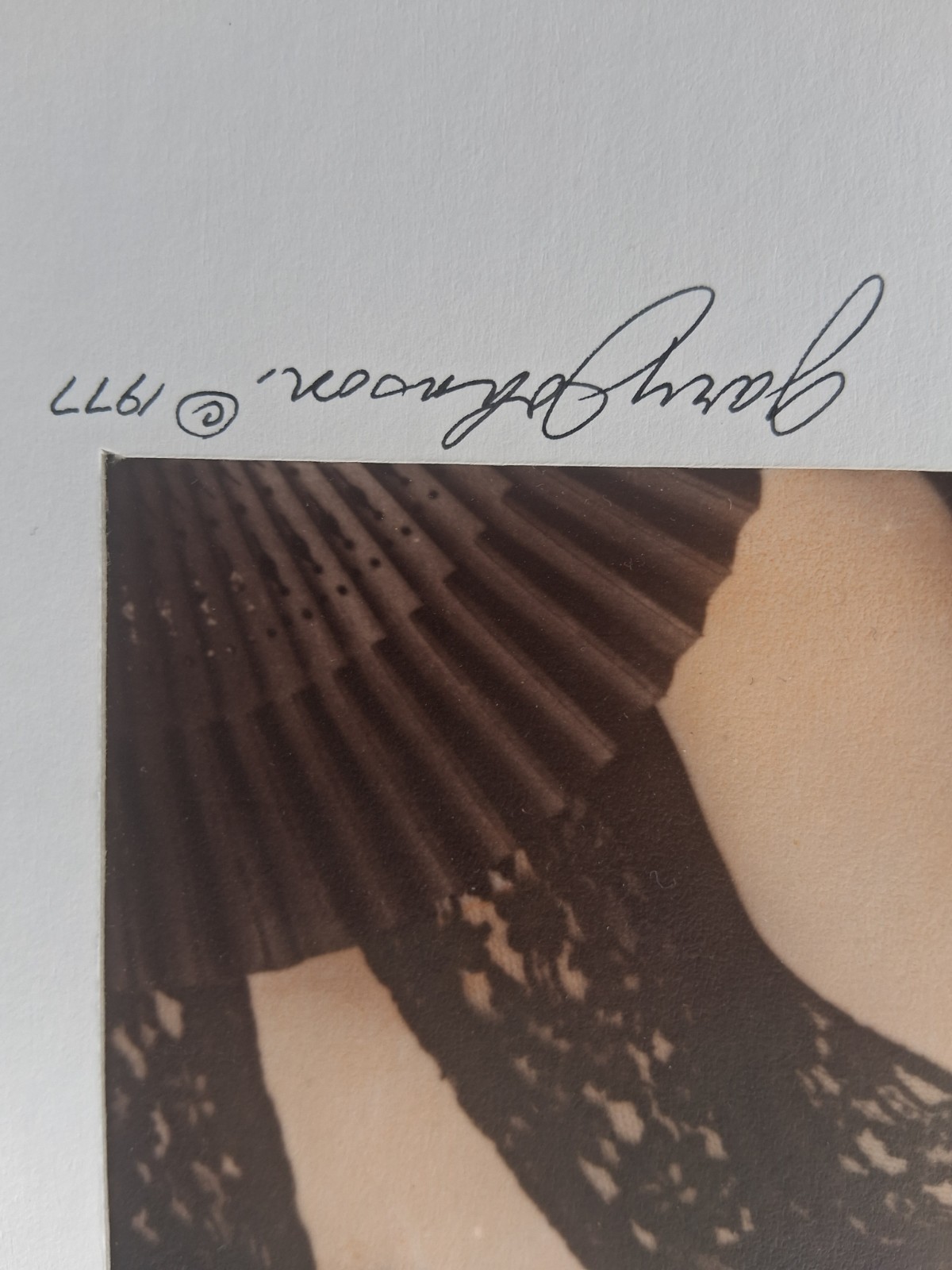 Black Widows Photograph Gary Johnson Signed Oddity Flapper Women Hand Colored